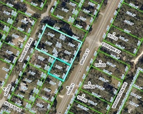 Vacant Land For Sale - 00 Broad<br/> Brooksville, FL 34604