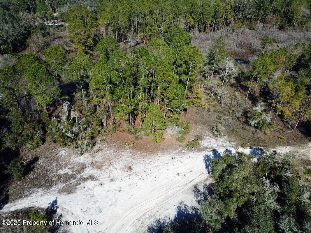 Lot 27 Coldrock Drive, Webster, Florida image 4