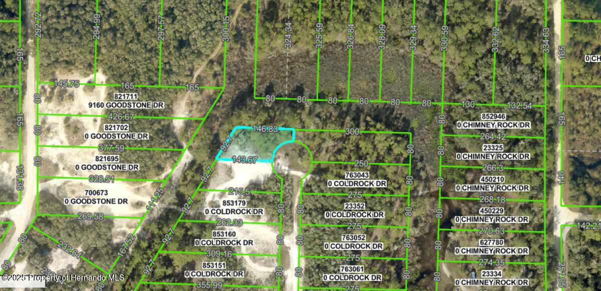 Lot 27 Coldrock Drive, Webster, Florida image 14