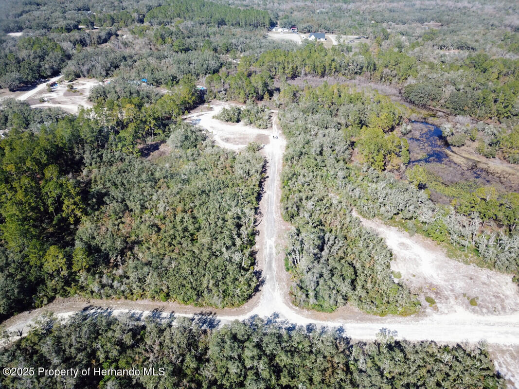 Lot 27 Coldrock Drive, Webster, Florida image 12