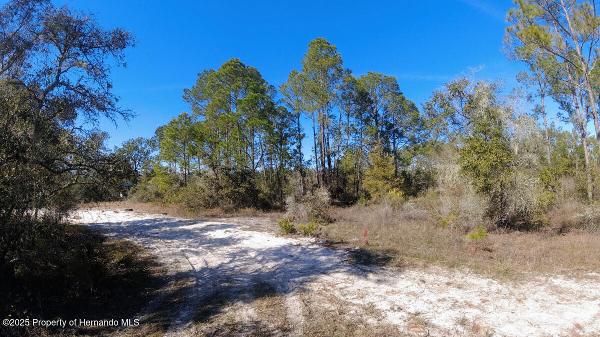 Lot 27 Coldrock Drive, Webster, Florida image 1