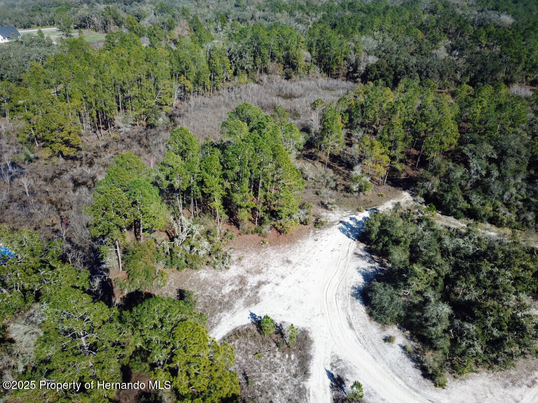 Lot 27 Coldrock Drive, Webster, Florida image 5