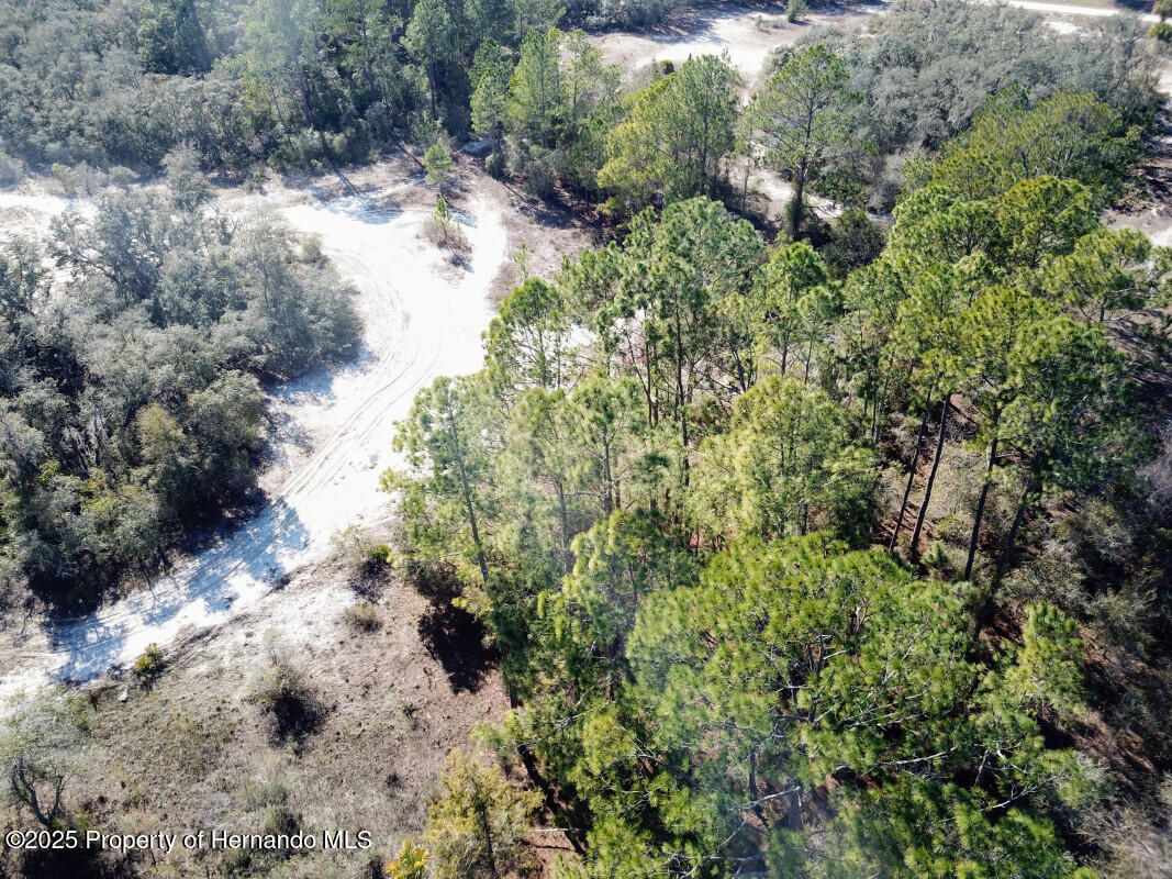 Lot 27 Coldrock Drive, Webster, Florida image 10