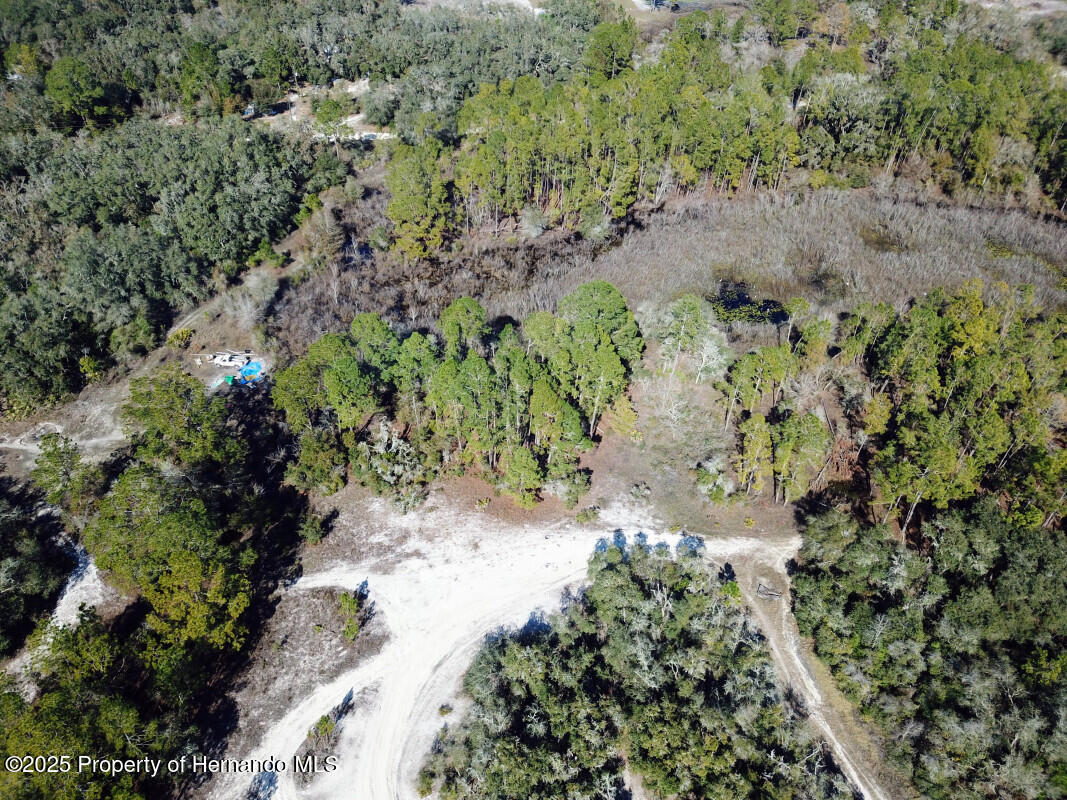 Lot 27 Coldrock Drive, Webster, Florida image 11