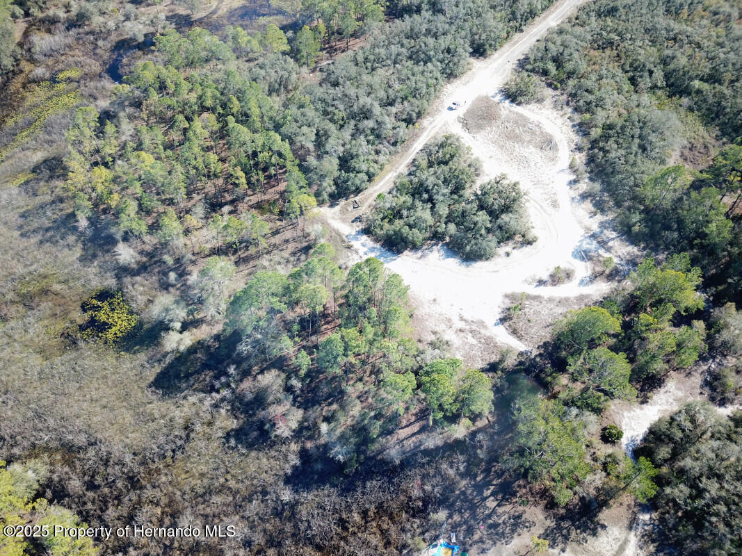 Lot 27 Coldrock Drive, Webster, Florida image 9