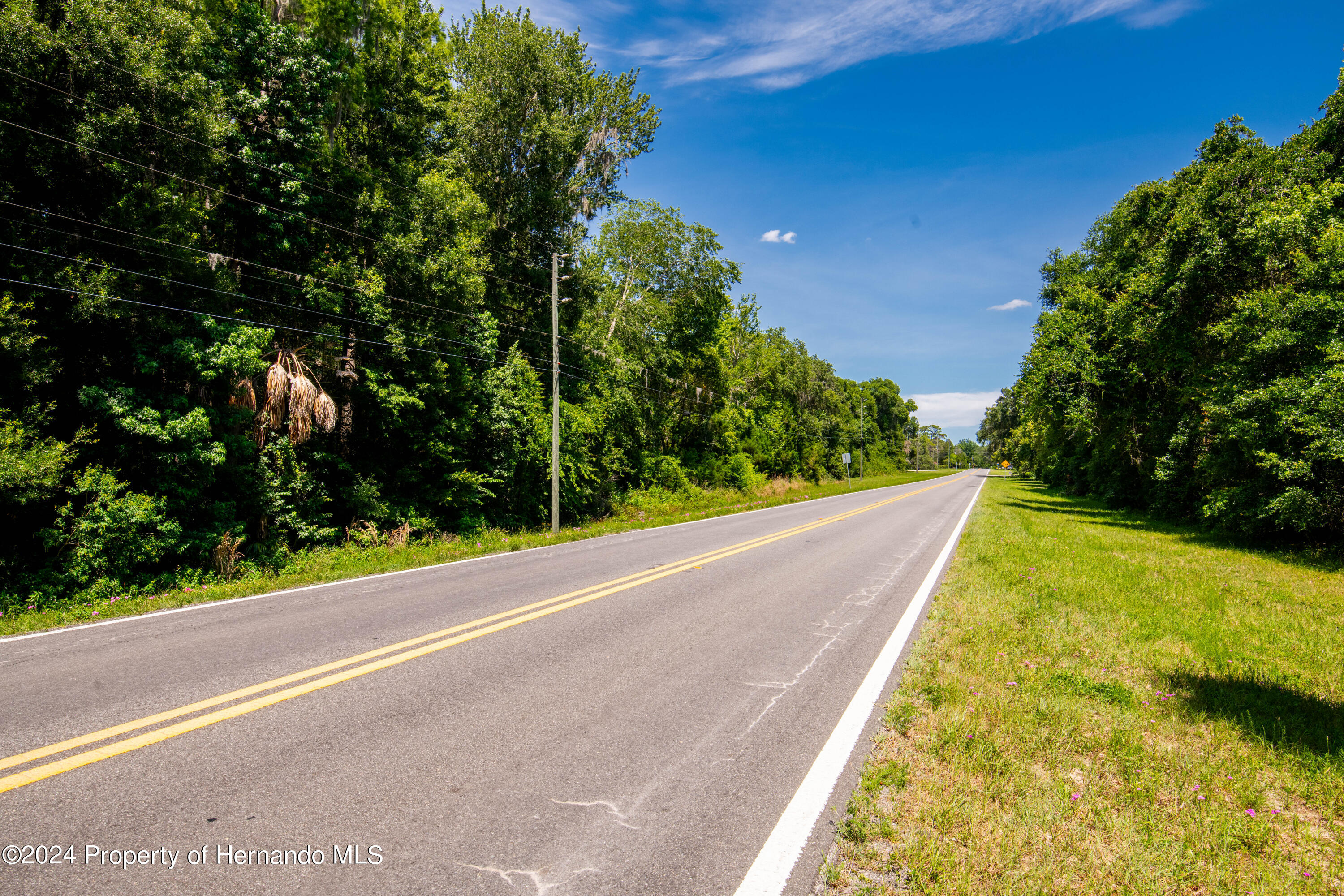 Lake Lindsey Road, Nobleton, Florida image 17
