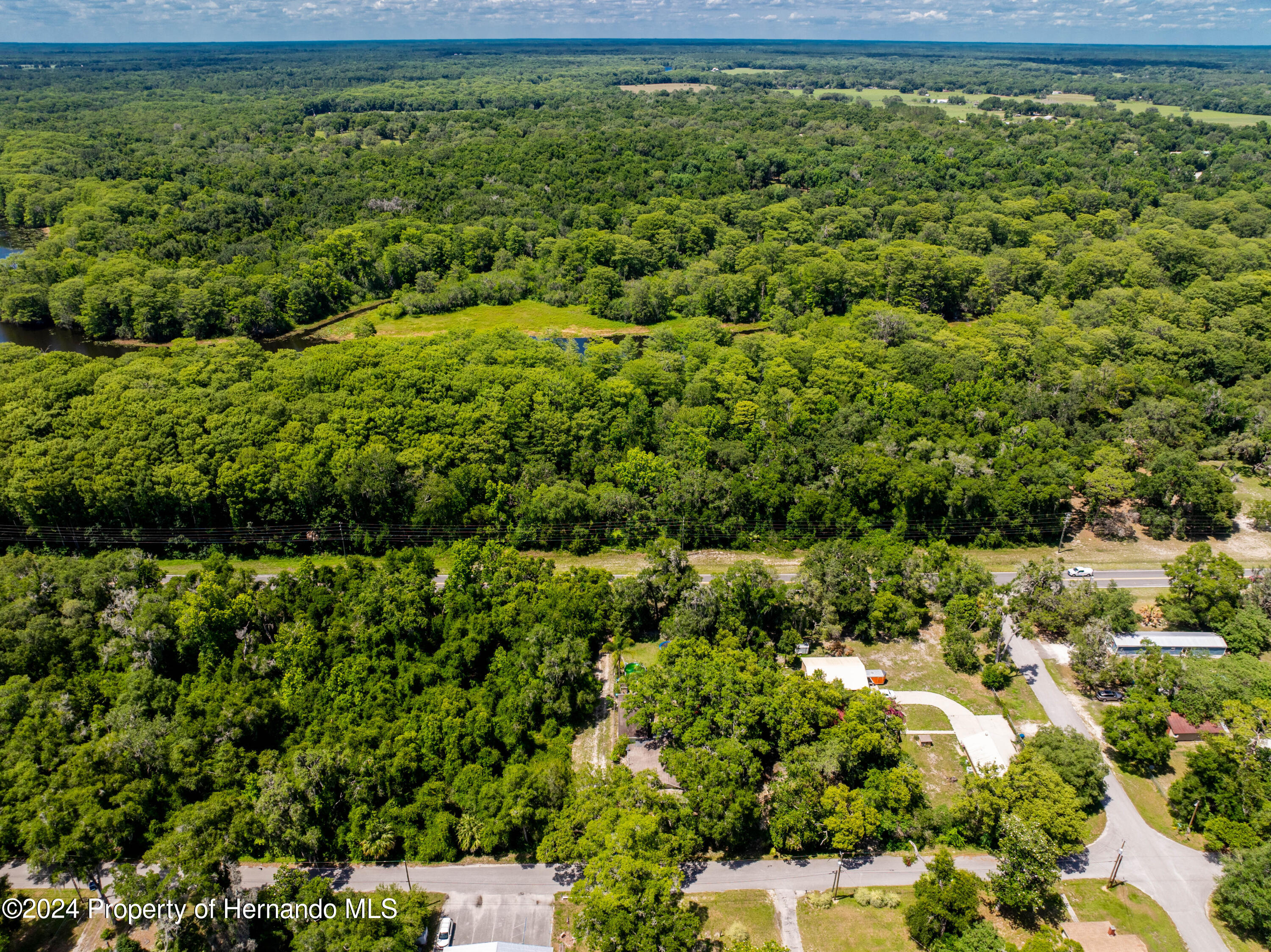Lake Lindsey Road, Nobleton, Florida image 6