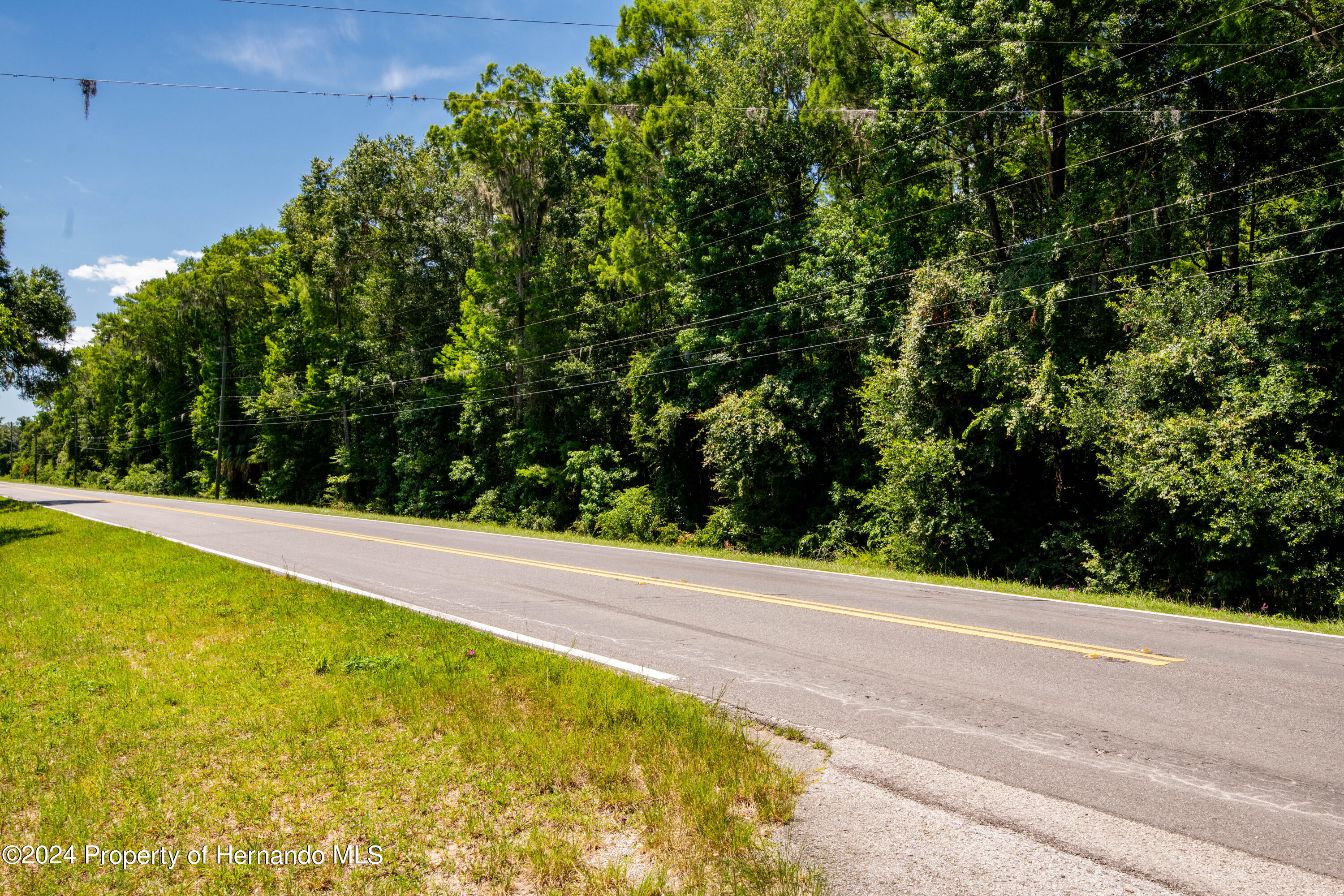 Lake Lindsey Road, Nobleton, Florida image 14