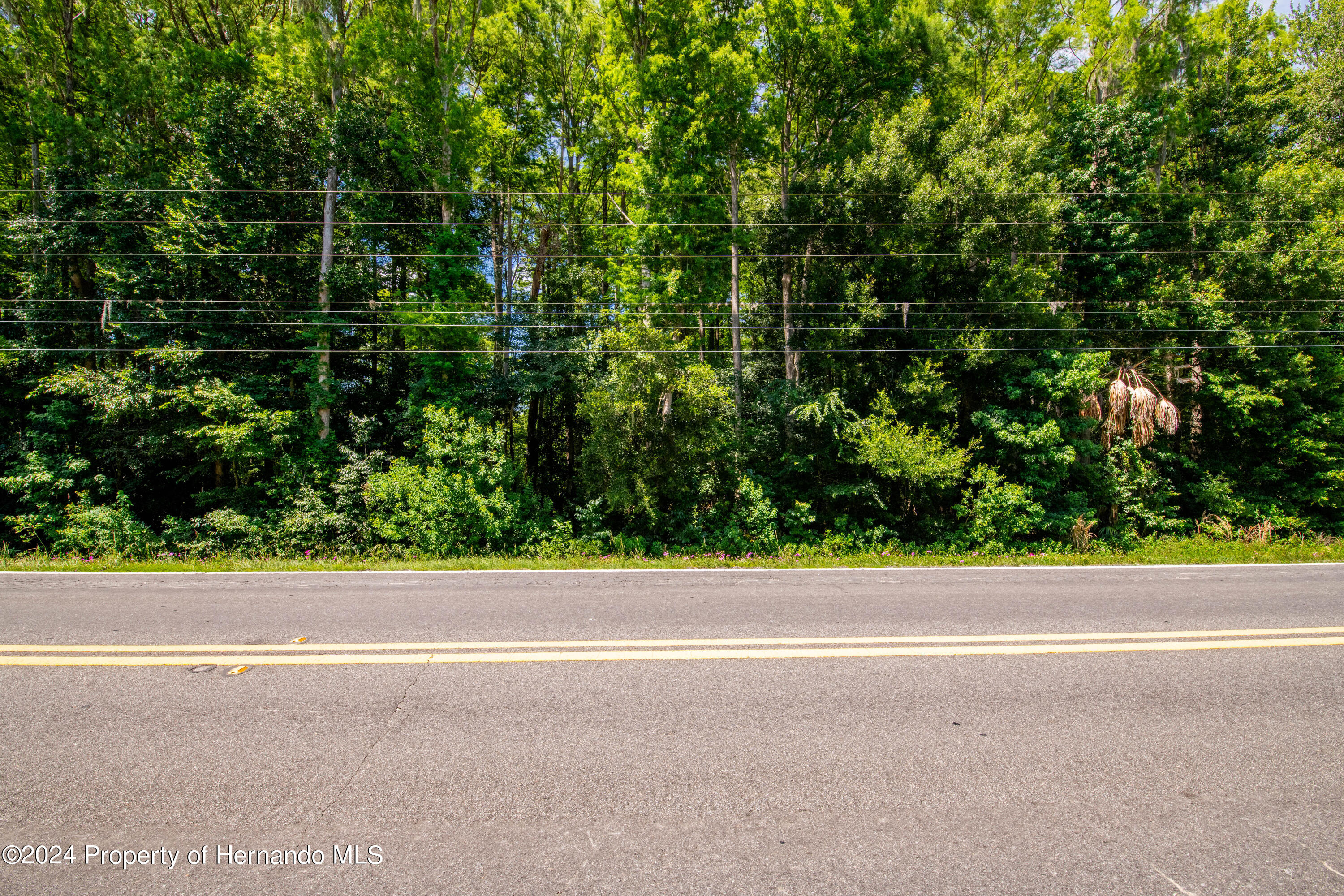 Lake Lindsey Road, Nobleton, Florida image 18