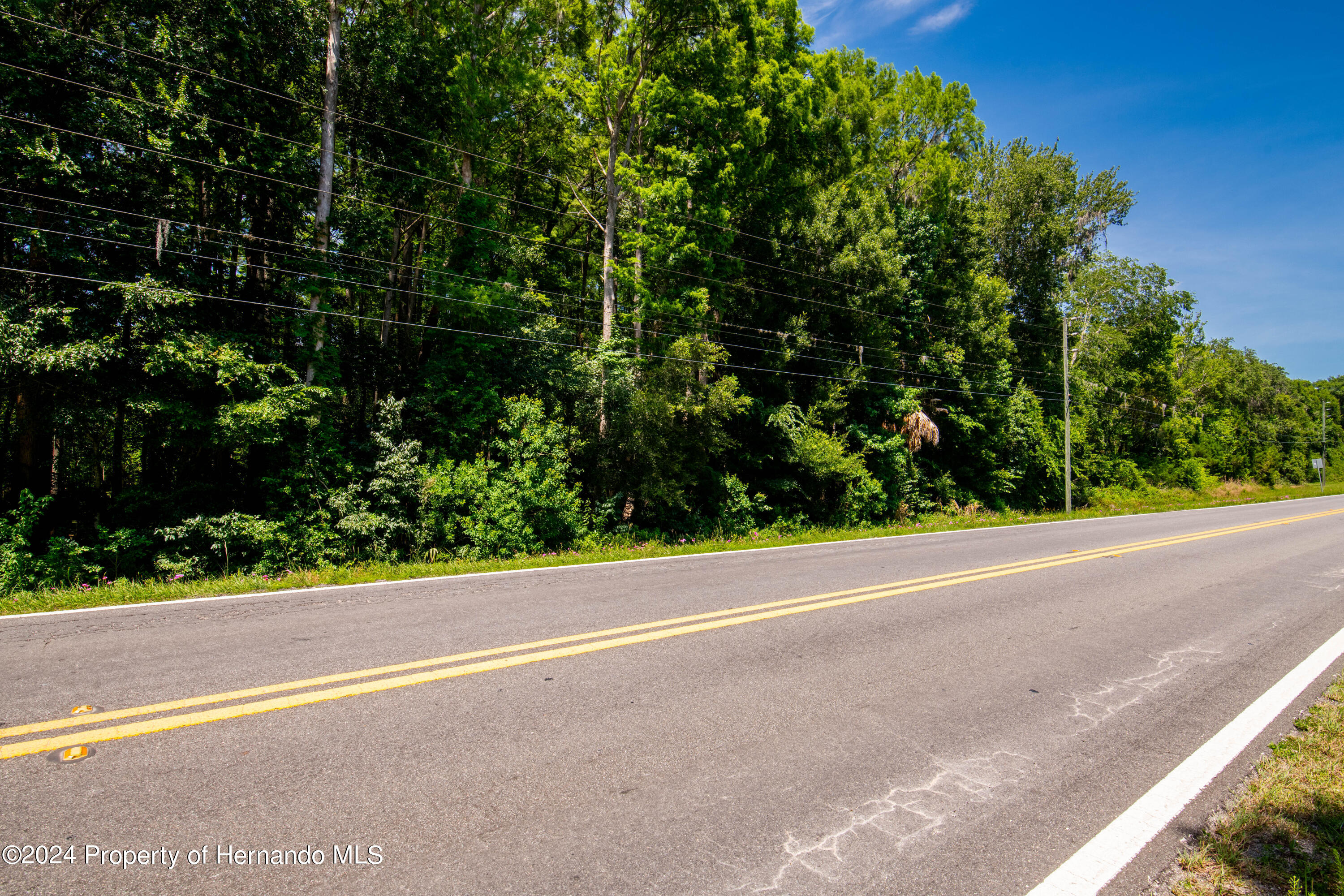 Lake Lindsey Road, Nobleton, Florida image 12
