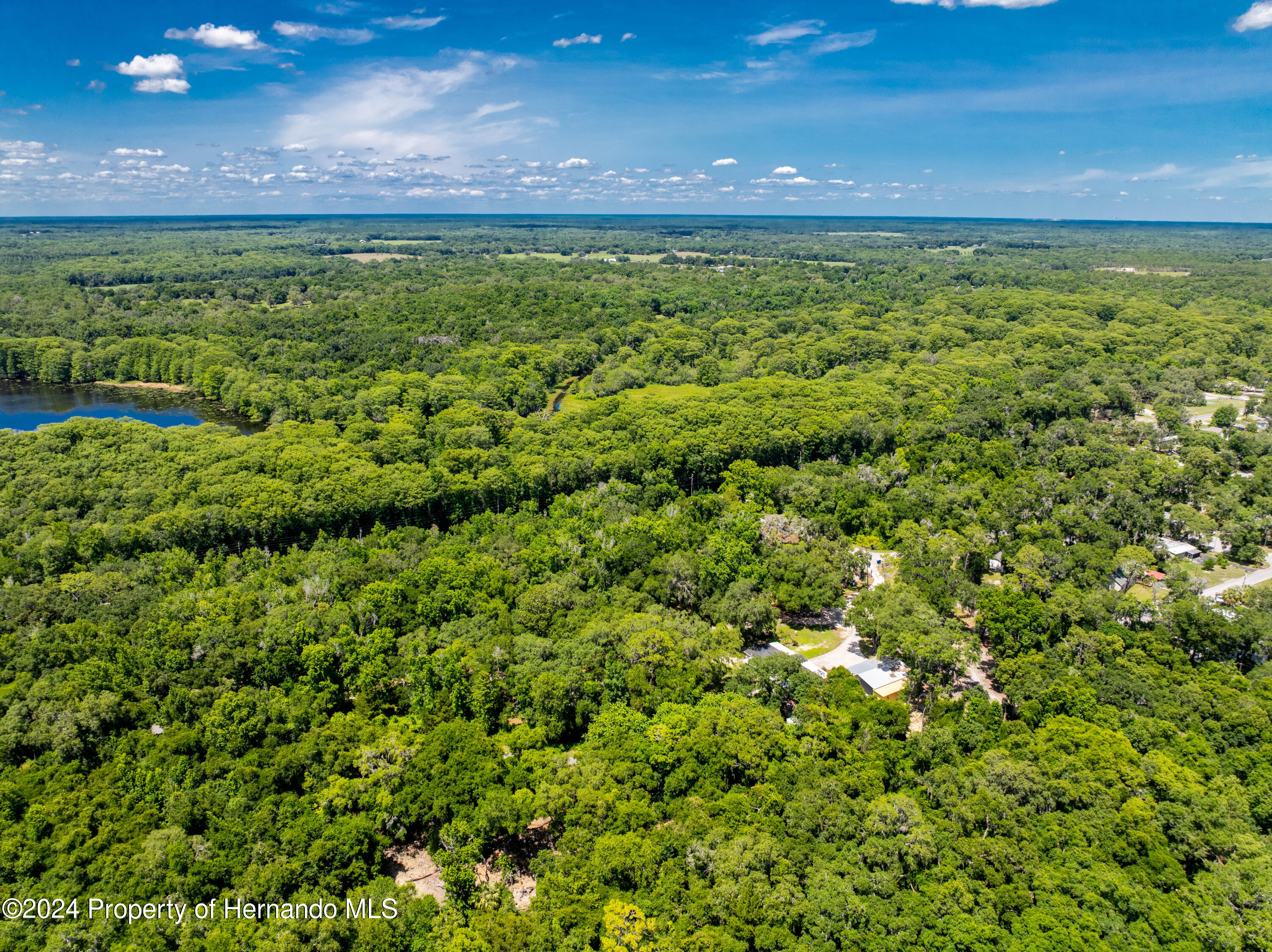 Lake Lindsey Road, Nobleton, Florida image 4