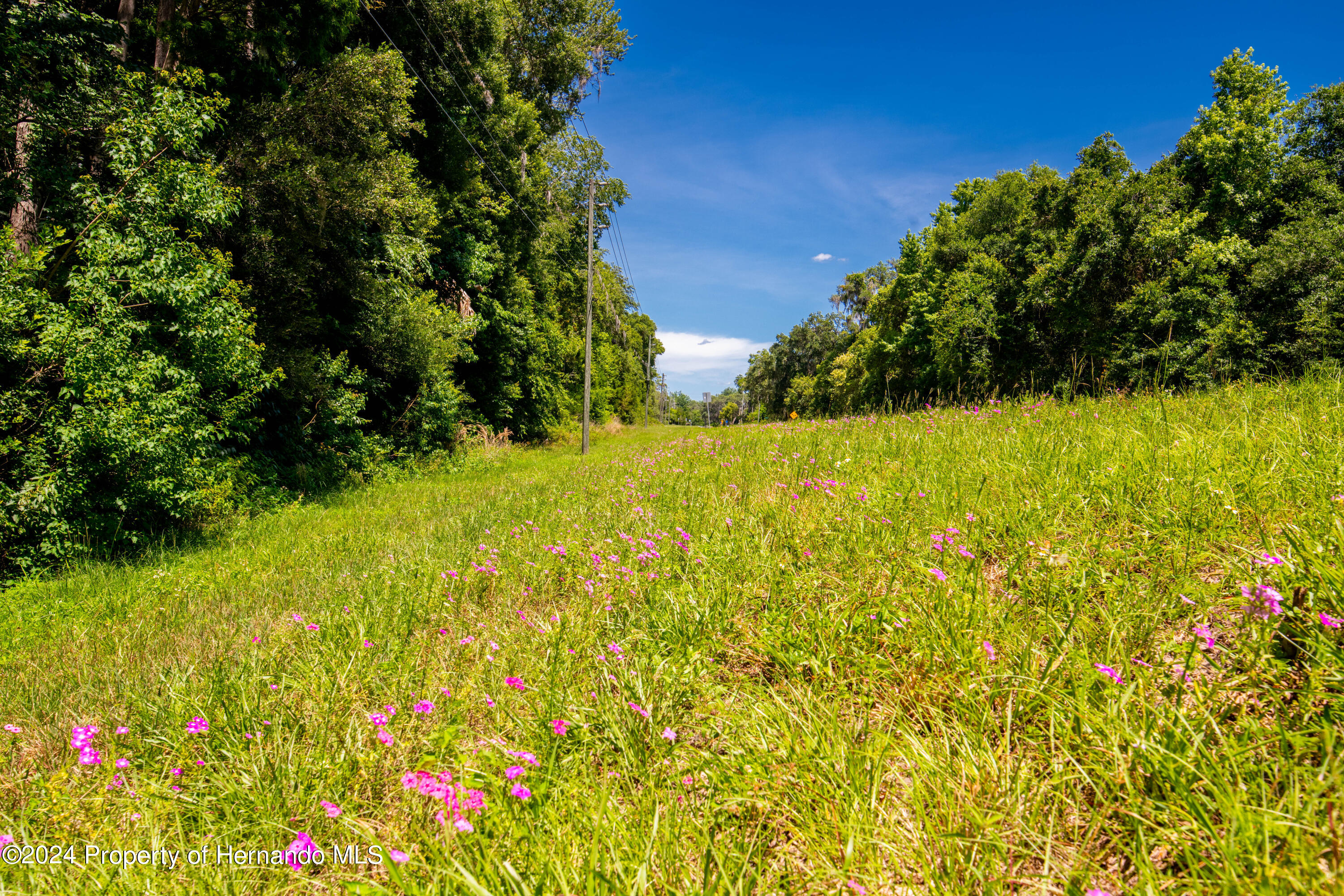 Lake Lindsey Road, Nobleton, Florida image 11