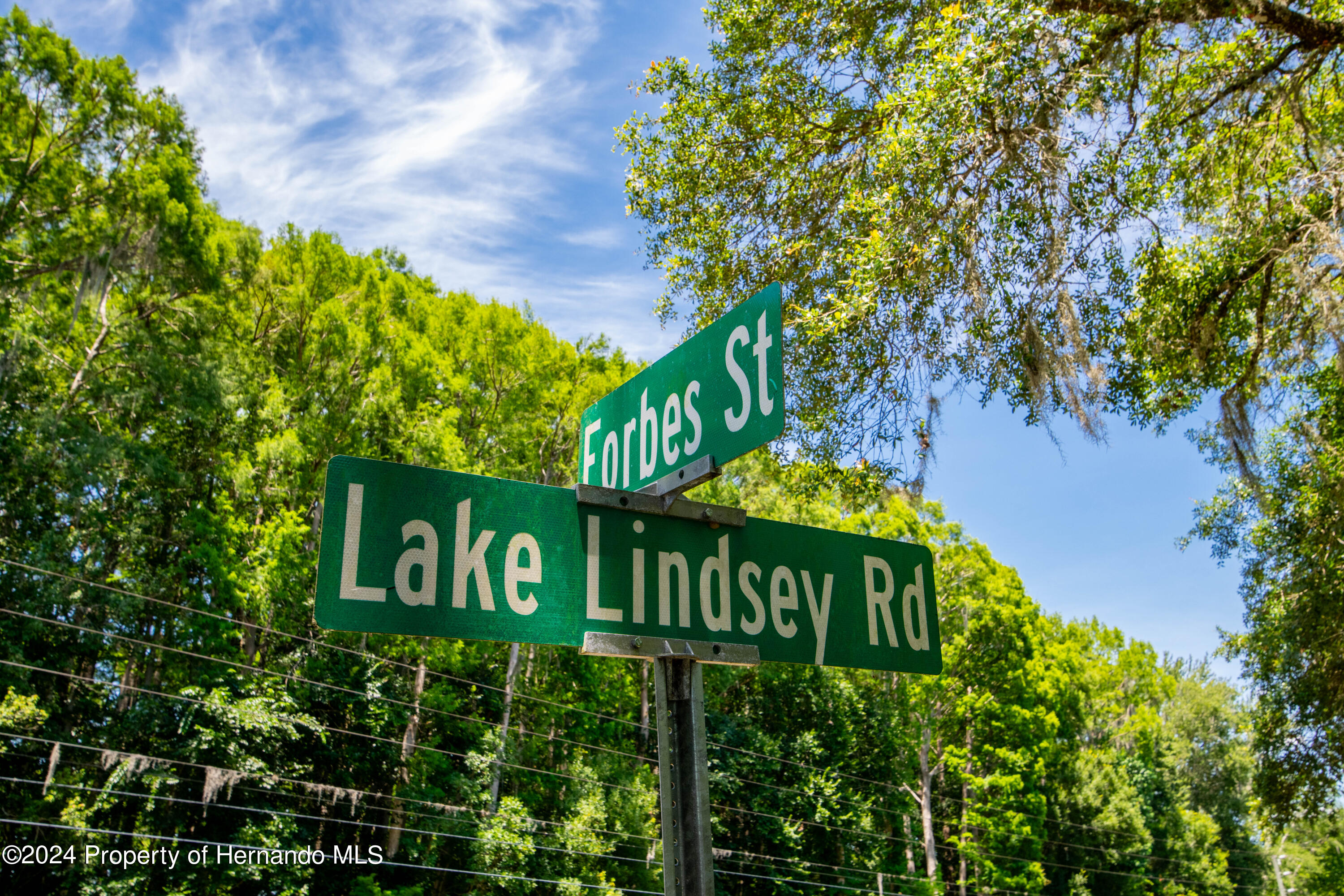 Lake Lindsey Road, Nobleton, Florida image 13