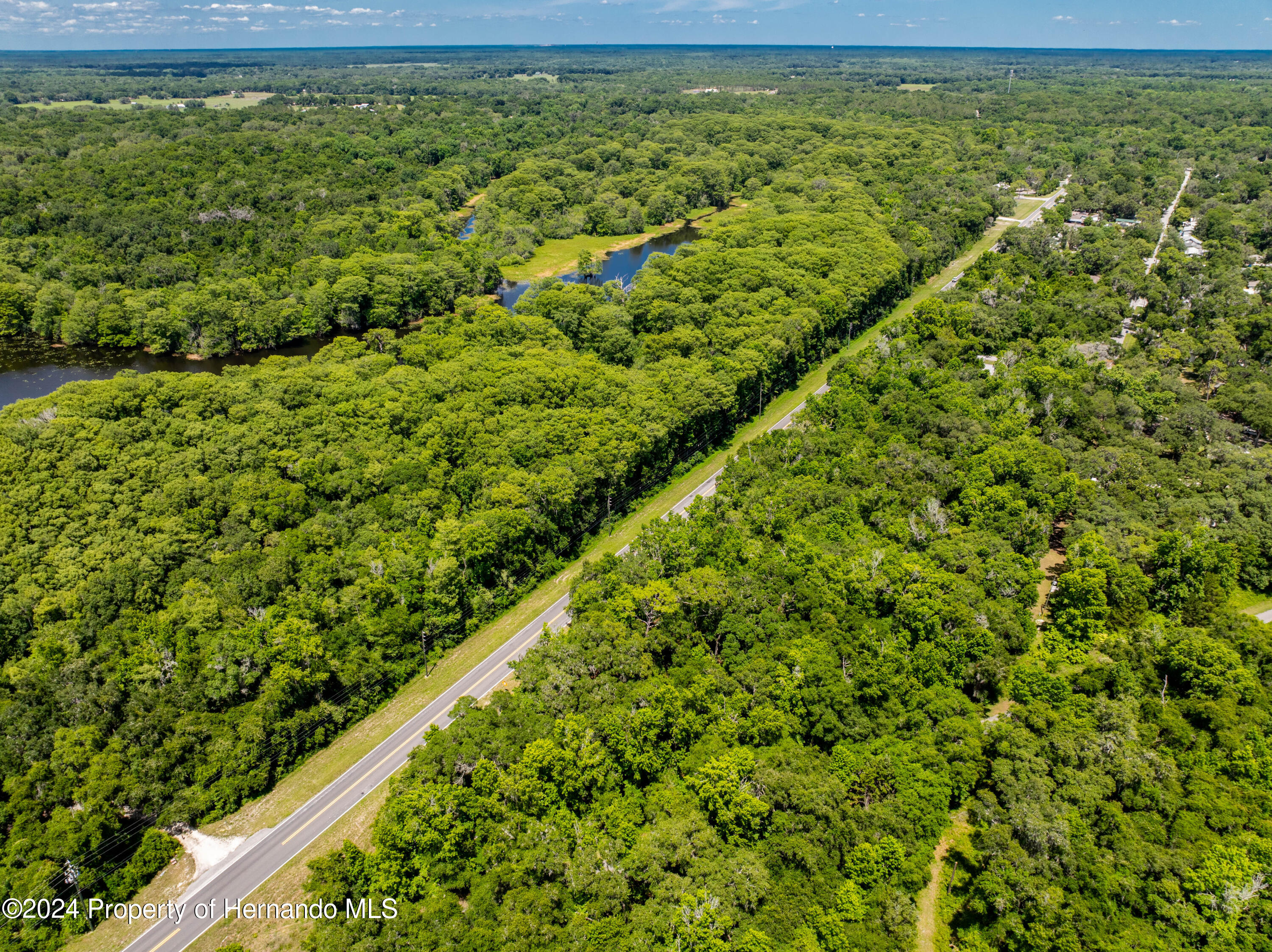 Lake Lindsey Road, Nobleton, Florida image 5