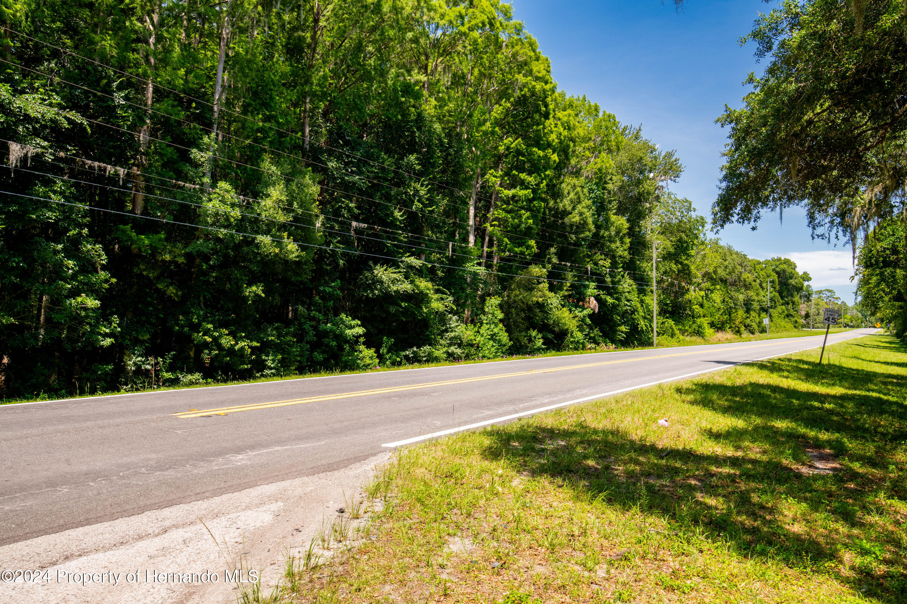 Lake Lindsey Road, Nobleton, Florida image 15