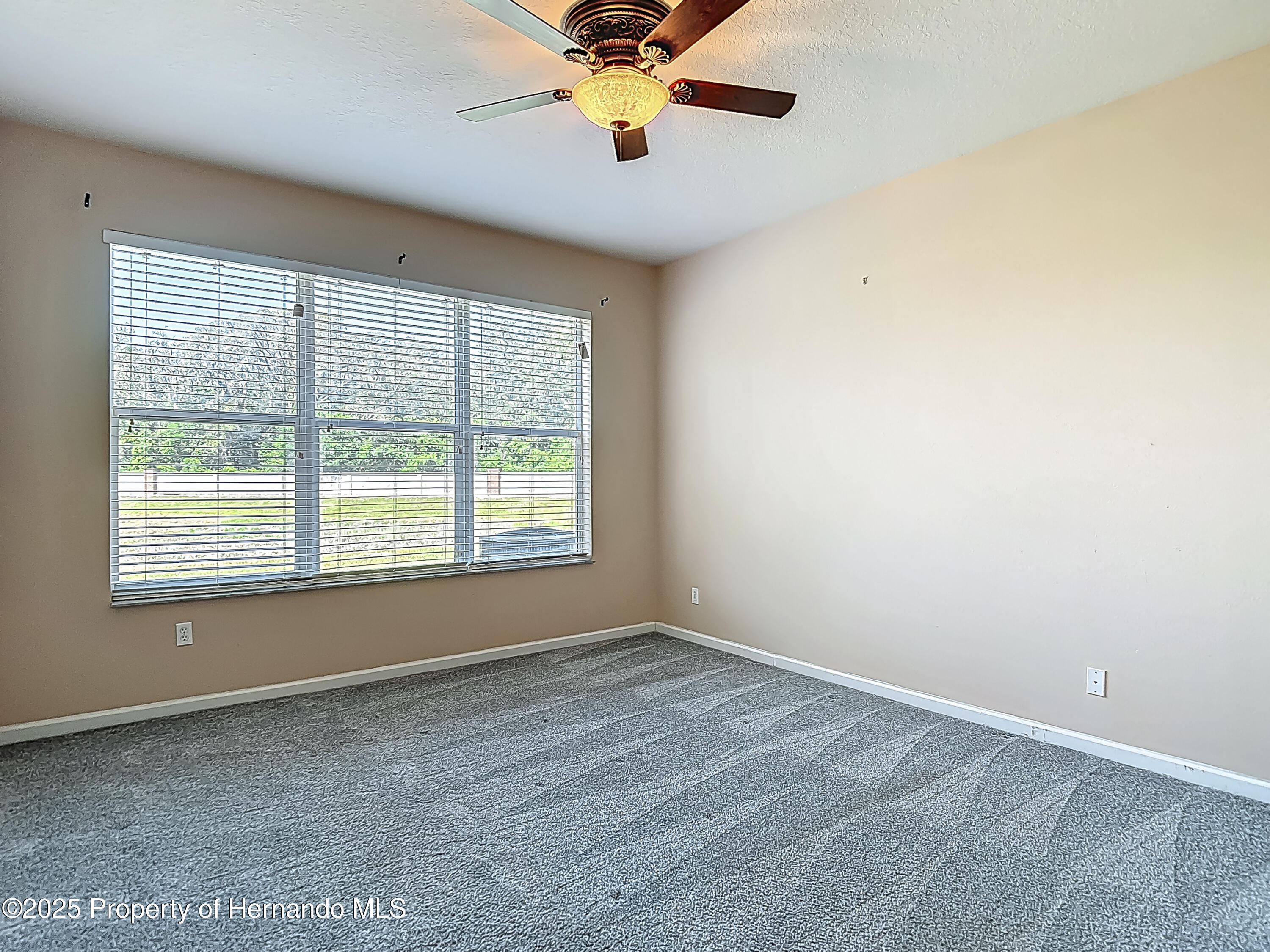 14137 Wake Robin Drive, Brooksville, Florida image 23