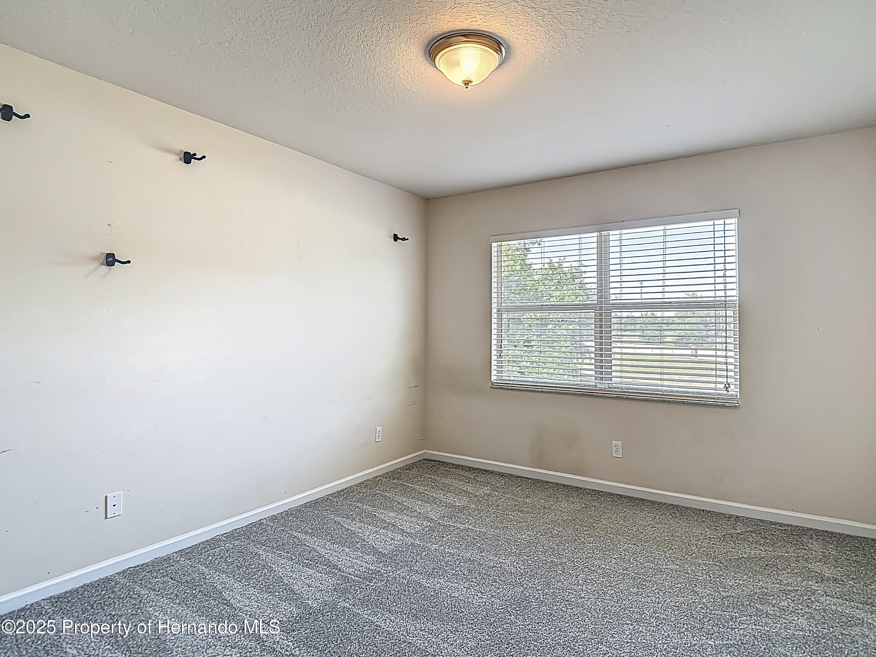 14137 Wake Robin Drive, Brooksville, Florida image 38