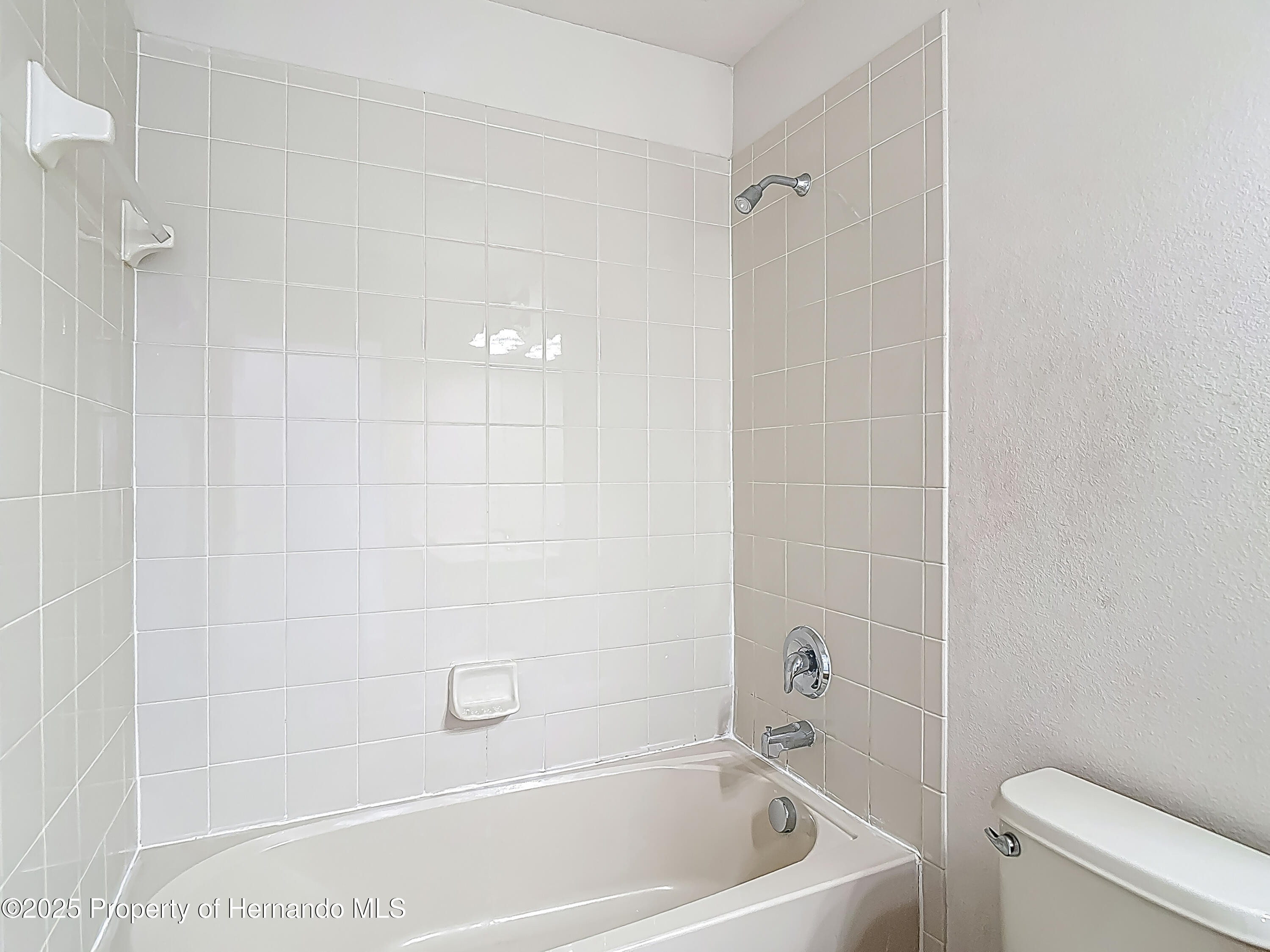 14137 Wake Robin Drive, Brooksville, Florida image 49