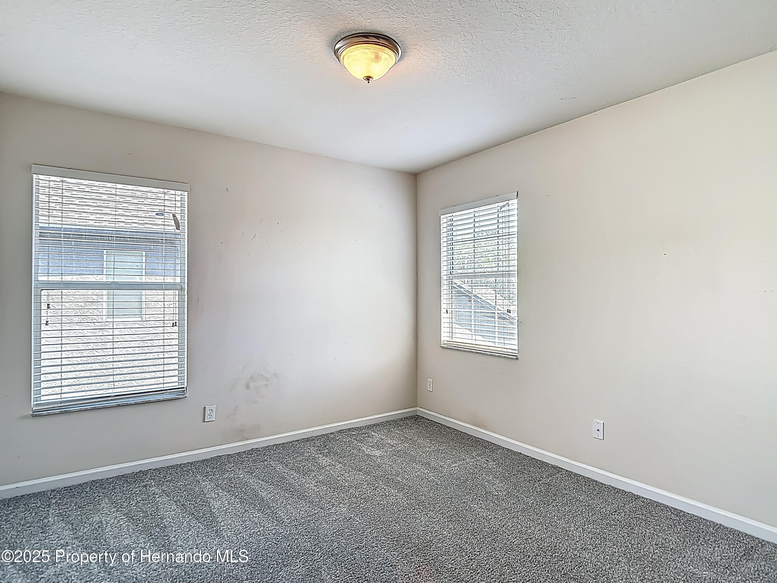 14137 Wake Robin Drive, Brooksville, Florida image 42