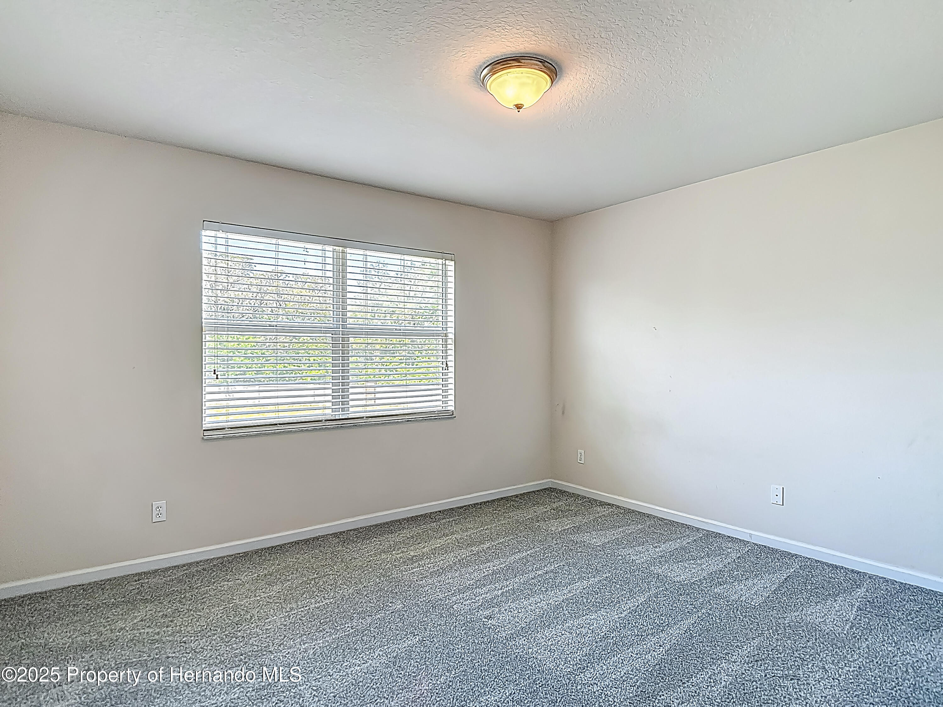 14137 Wake Robin Drive, Brooksville, Florida image 46