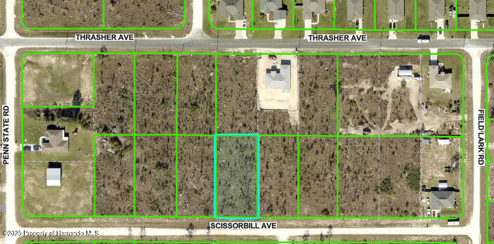 Scissorbill Avenue, Weeki Wachee, Florida image 1