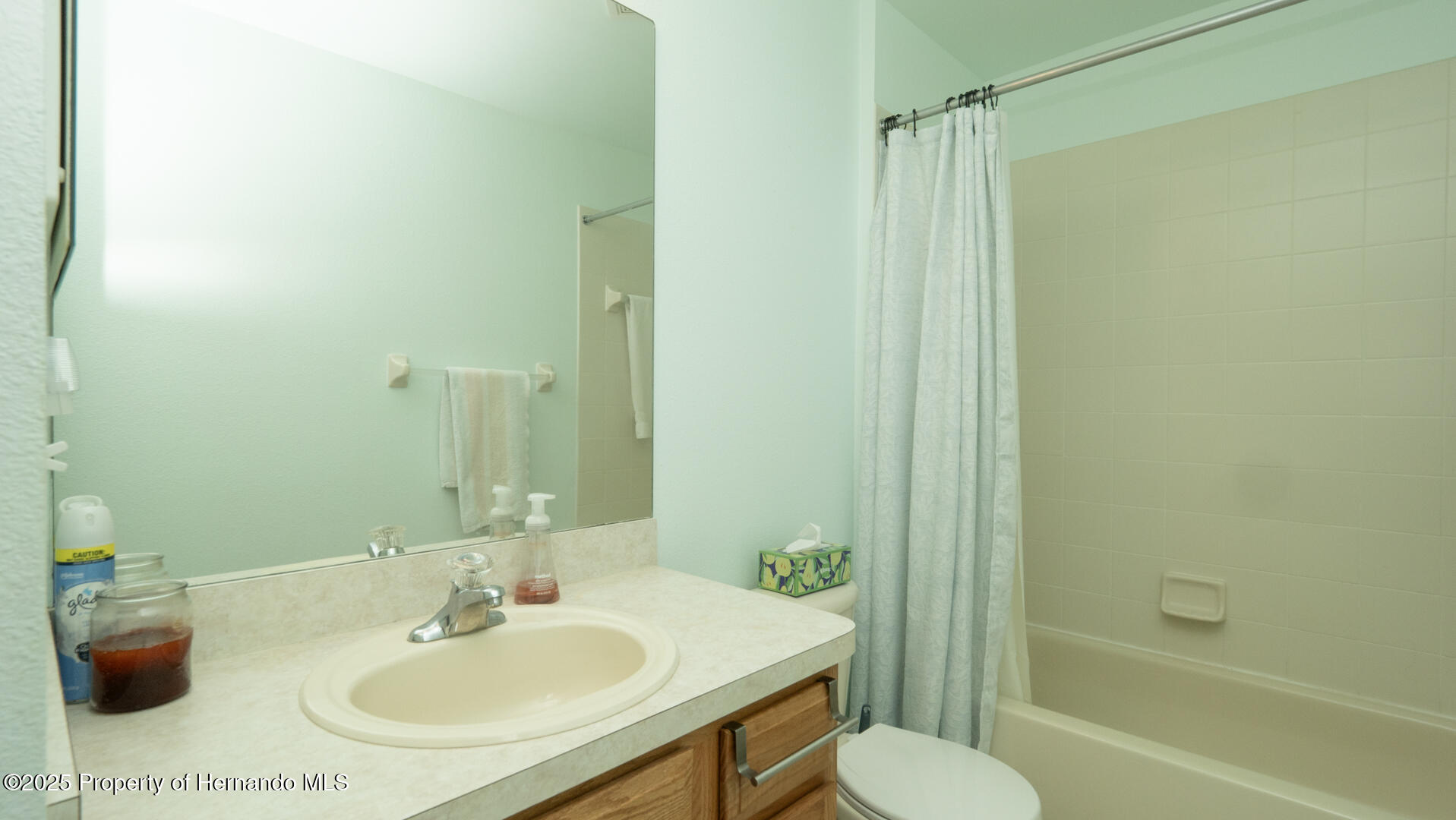 5092 Roble Avenue, Spring Hill, Florida image 21