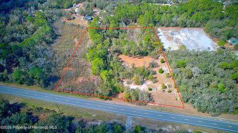 Vacant Land For Sale - Treiman Boulevard<br/> Ridge Manor, FL 33597