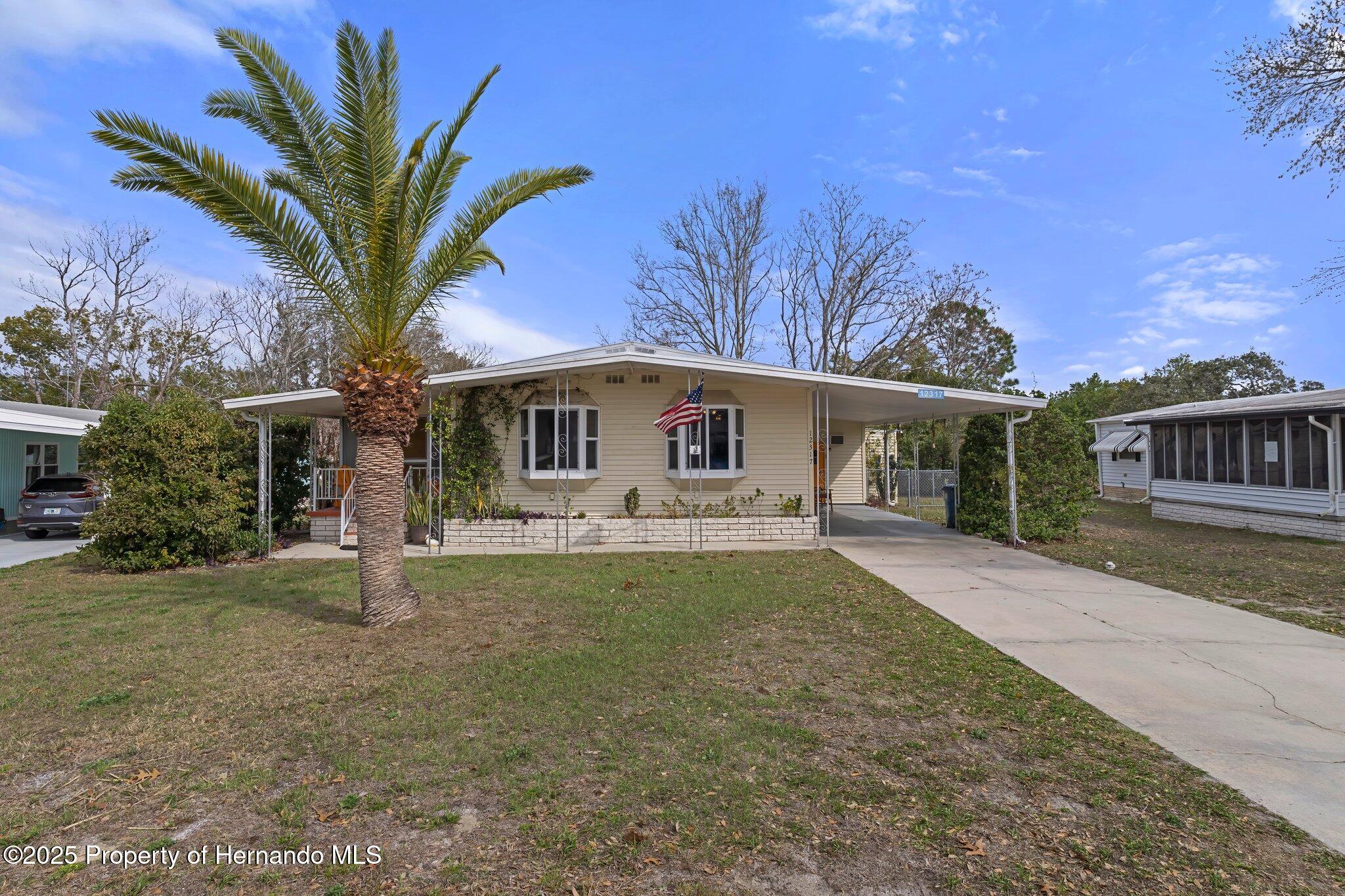 12317 Hallmark Avenue, Brooksville, Florida image 3