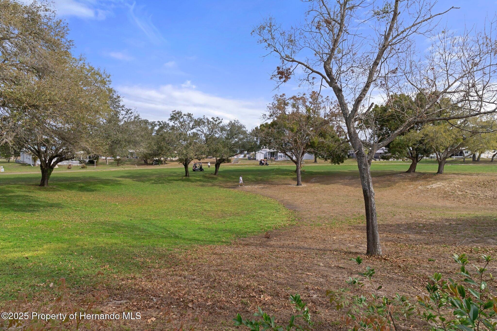 12317 Hallmark Avenue, Brooksville, Florida image 44