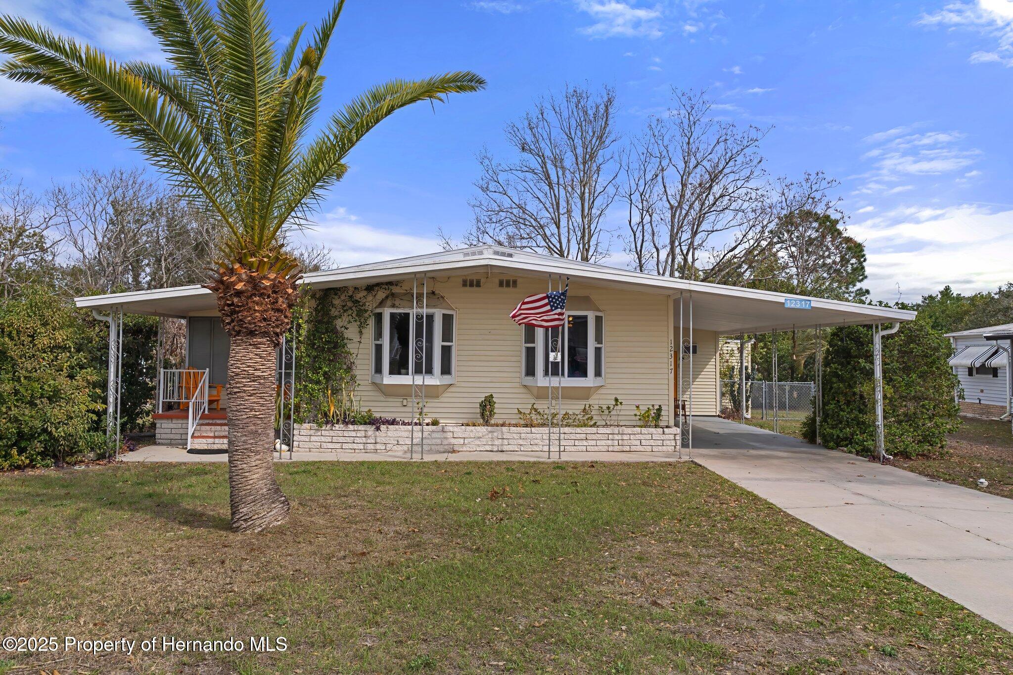 12317 Hallmark Avenue, Brooksville, Florida image 2