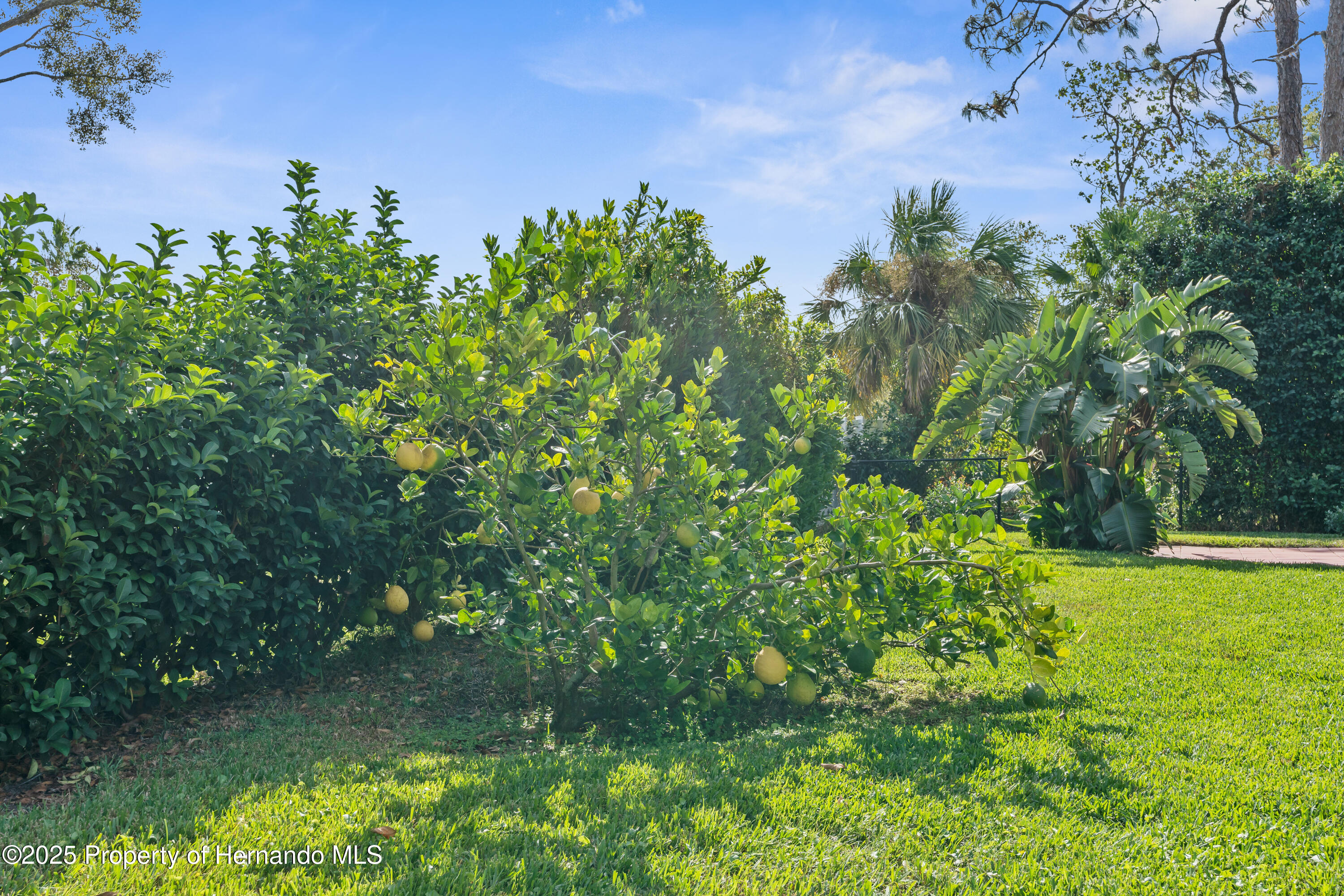 18244 Autumn Lake Boulevard Lake, Hudson, Florida image 34