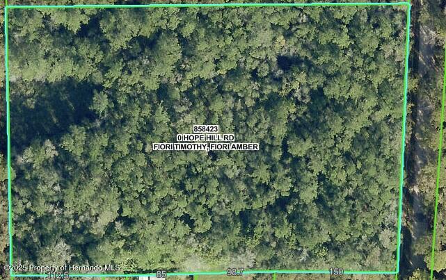 Hope Hill Road, Brooksville, Florida image 1