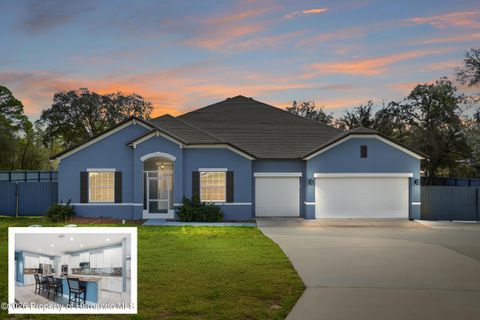 Homes For Sale - 11174 Marvelwood Road<br/> Weeki Wachee, FL 34614