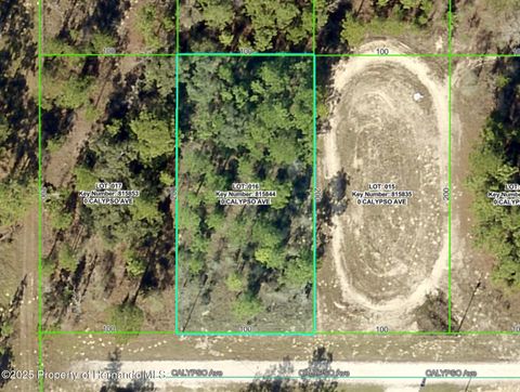 Vacant Land For Sale - LOT 16 Calypso Avenue<br/> Weeki Wachee, FL 34614