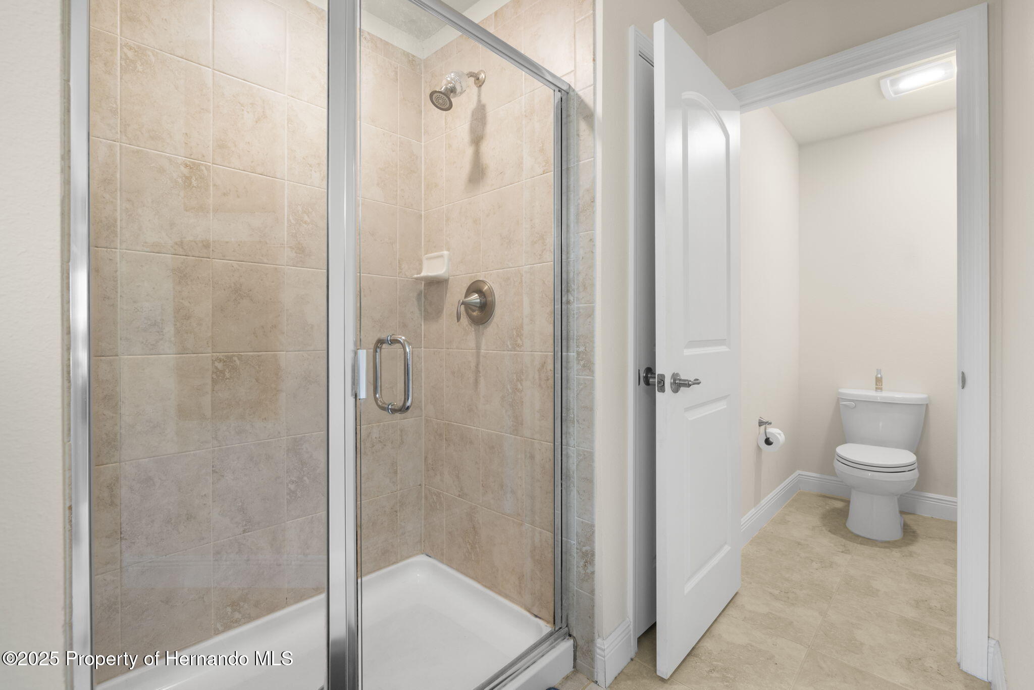 4725 Royal Birkdale Way, Wesley Chapel, Florida image 25