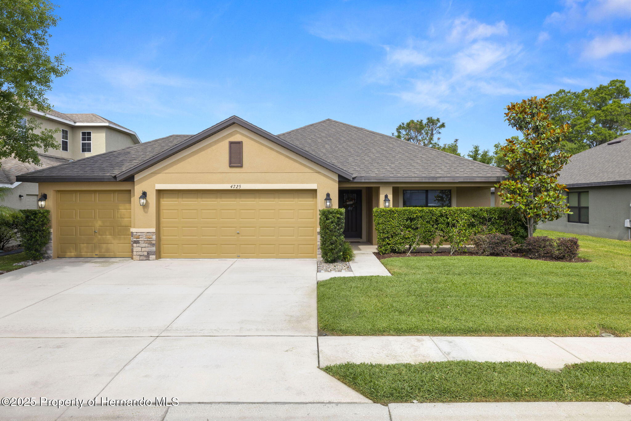 4725 Royal Birkdale Way, Wesley Chapel, Florida image 3