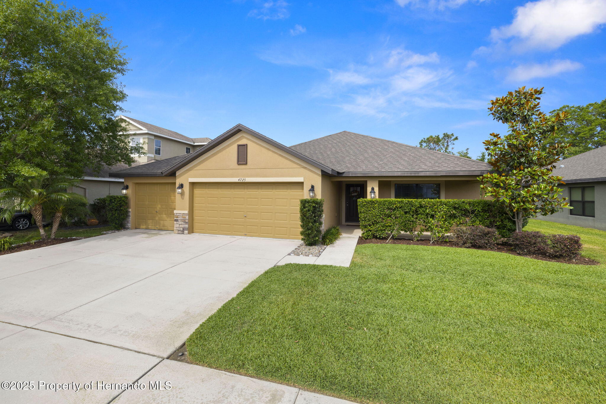 4725 Royal Birkdale Way, Wesley Chapel, Florida image 4