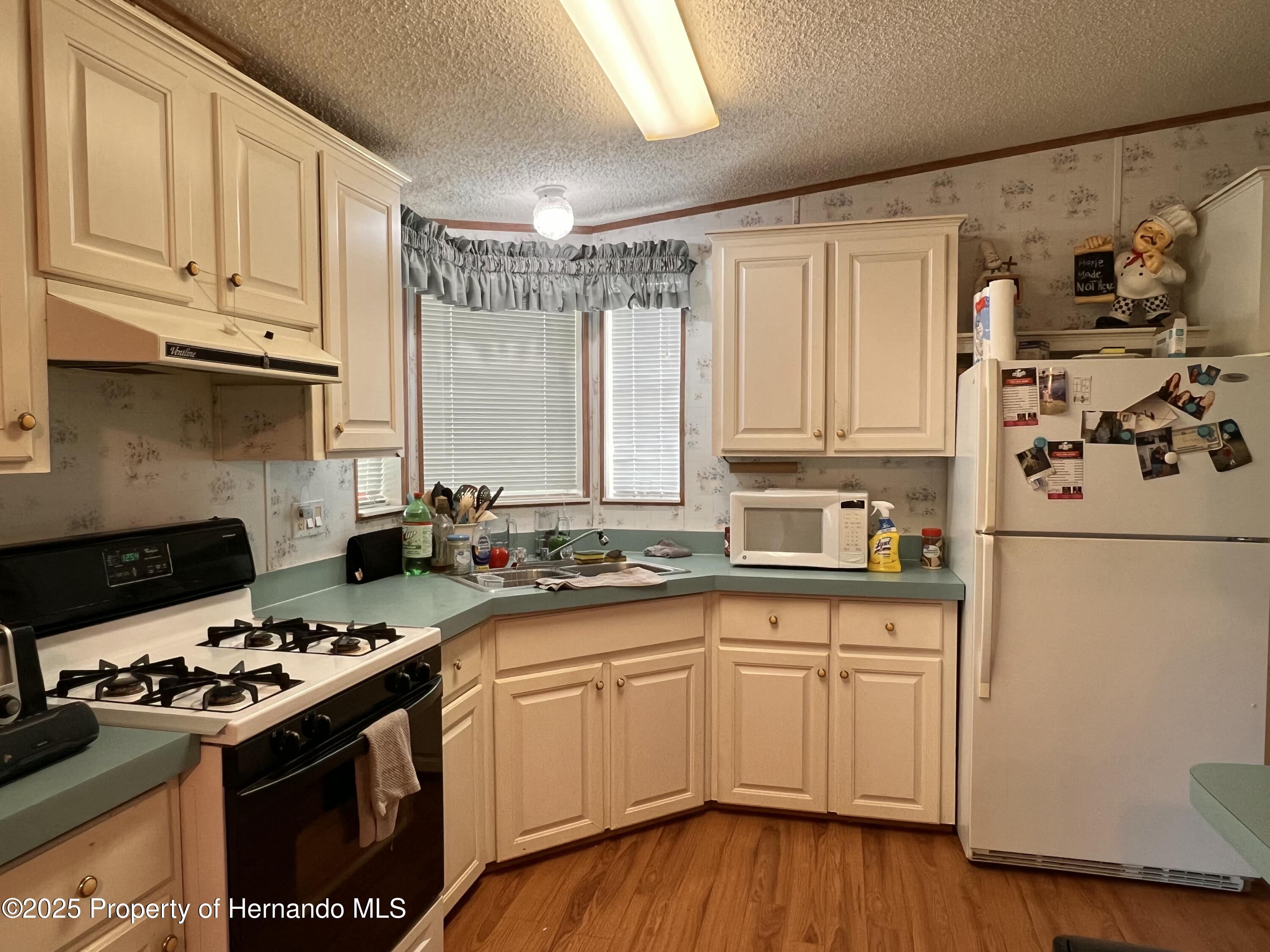 16143 Pensacola Street, Brooksville, Florida image 8