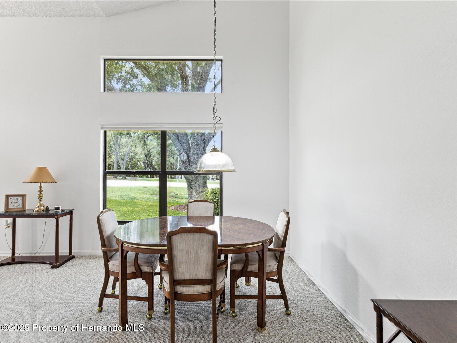 8001 Summerbreeze Terrace, Spring Hill, Florida image 12