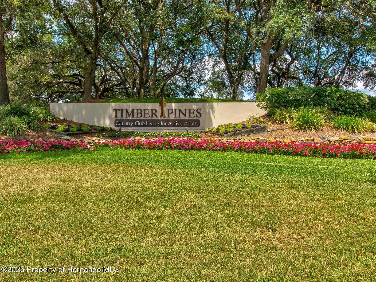 8001 Summerbreeze Terrace, Spring Hill, Florida image 49
