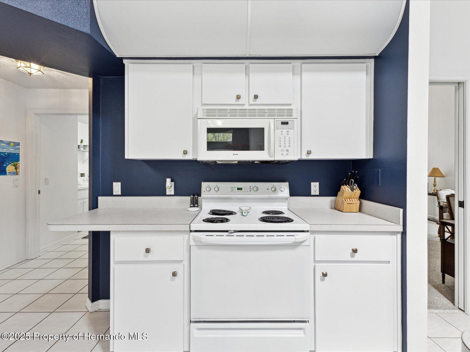 8001 Summerbreeze Terrace, Spring Hill, Florida image 19