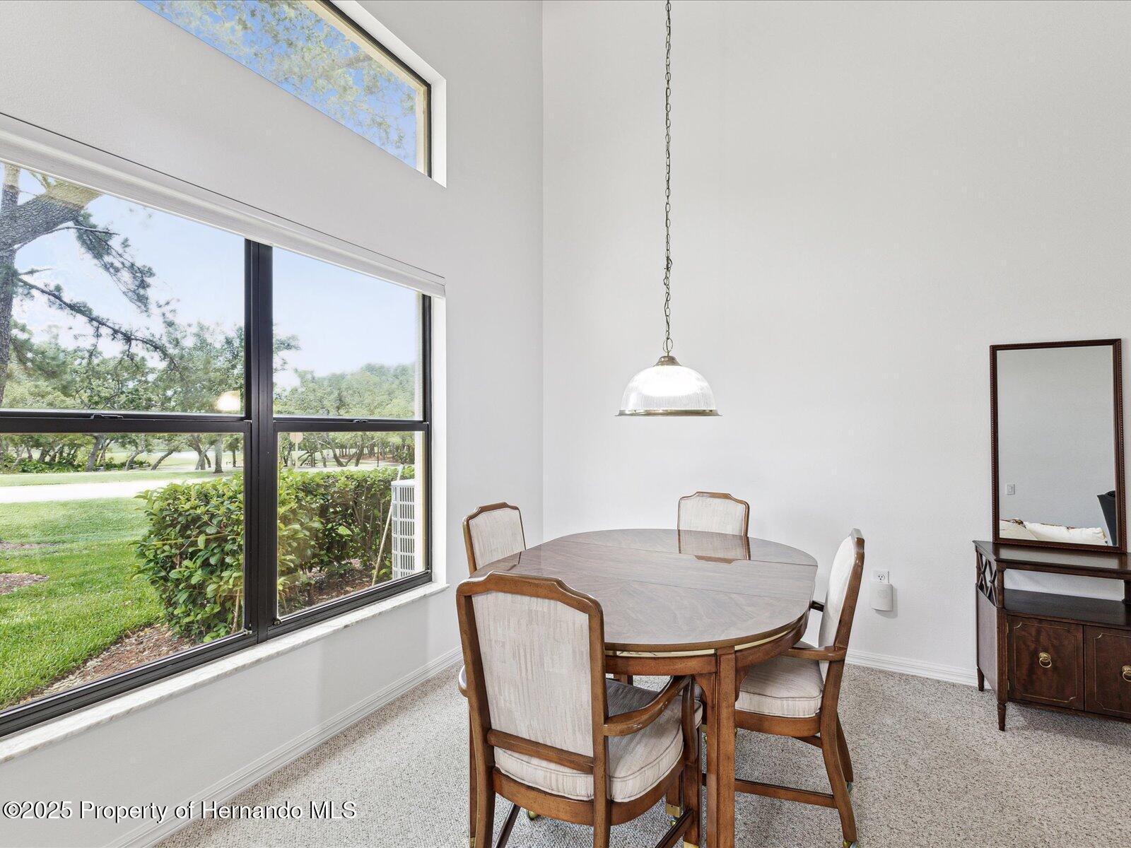 8001 Summerbreeze Terrace, Spring Hill, Florida image 13