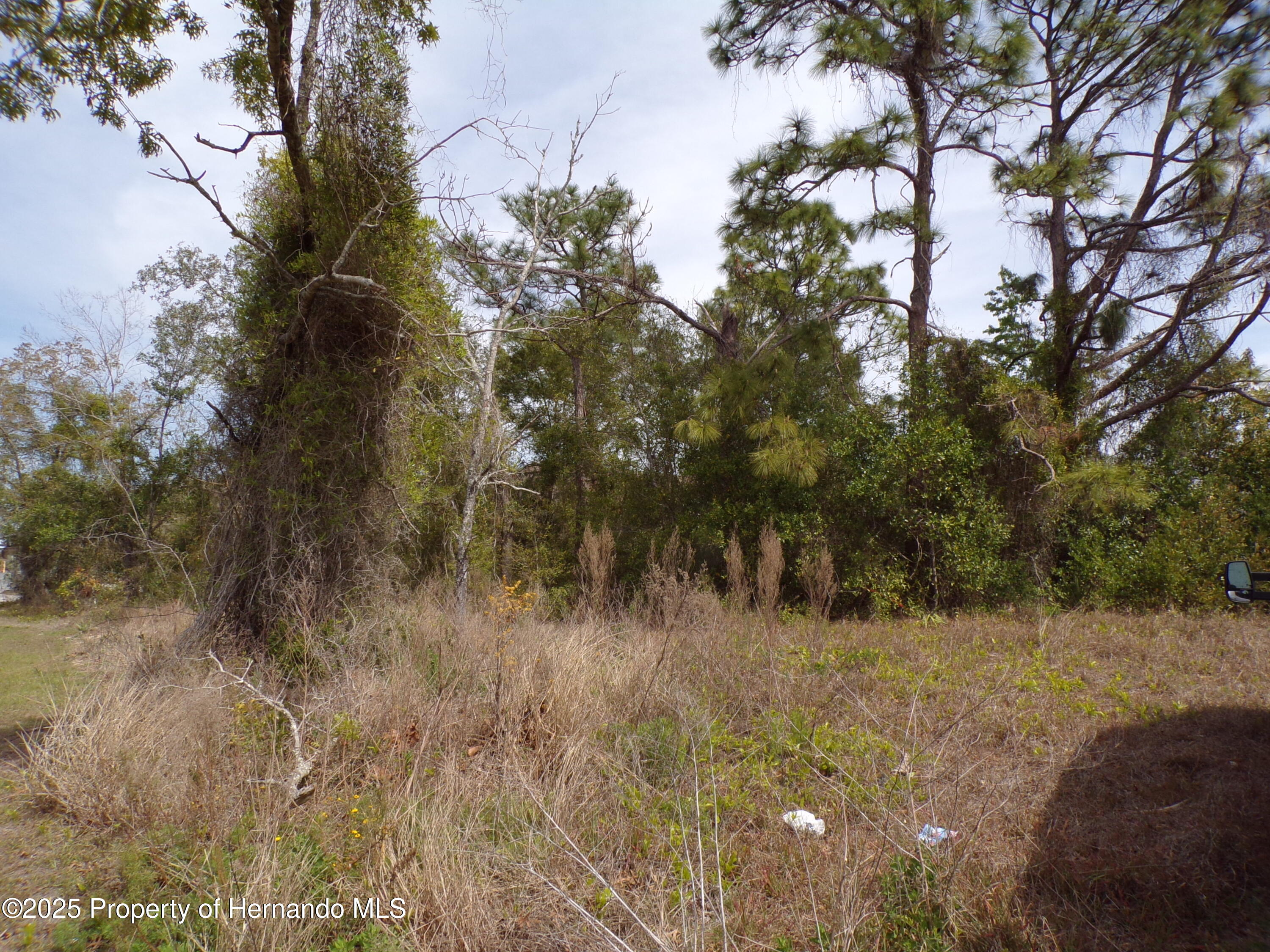 4582 Gondolier Road, Spring Hill, Florida image 2