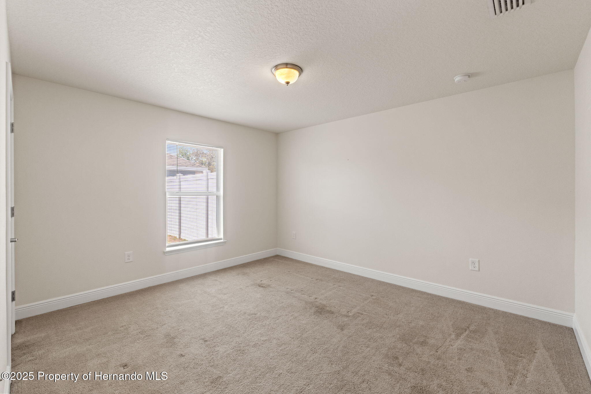 16302 Vine Cliff Avenue, Hudson, Florida image 18