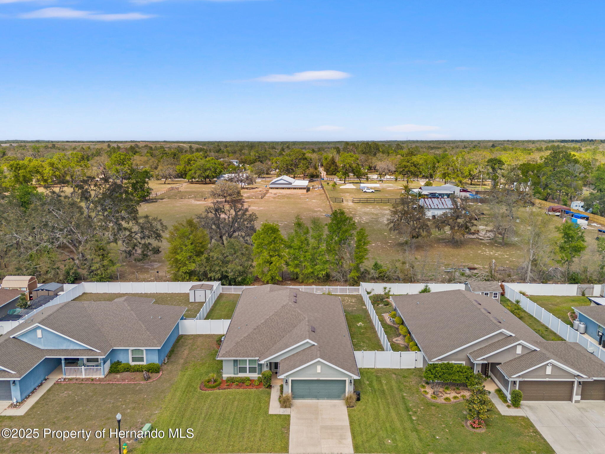 16302 Vine Cliff Avenue, Hudson, Florida image 4