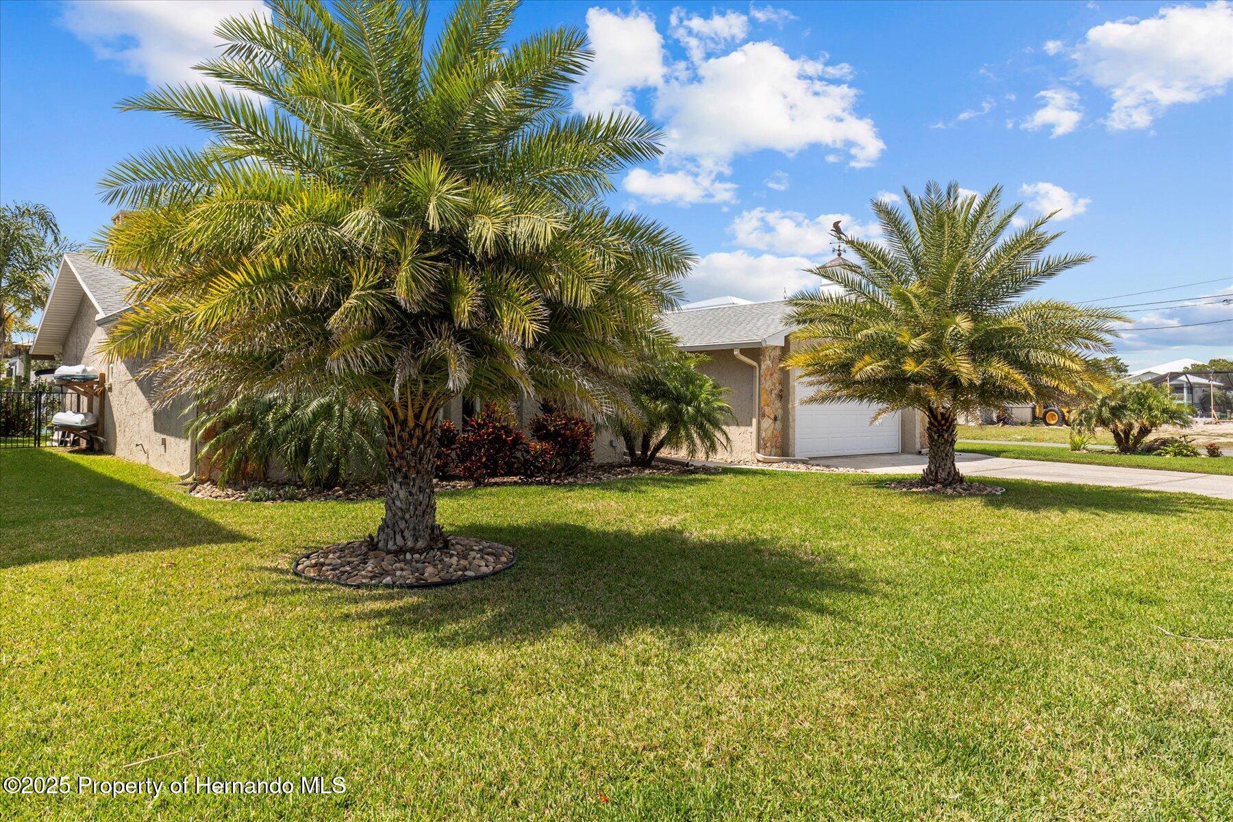 4565 Gulfstream Drive, HERNANDO BEACH, Florida image 7