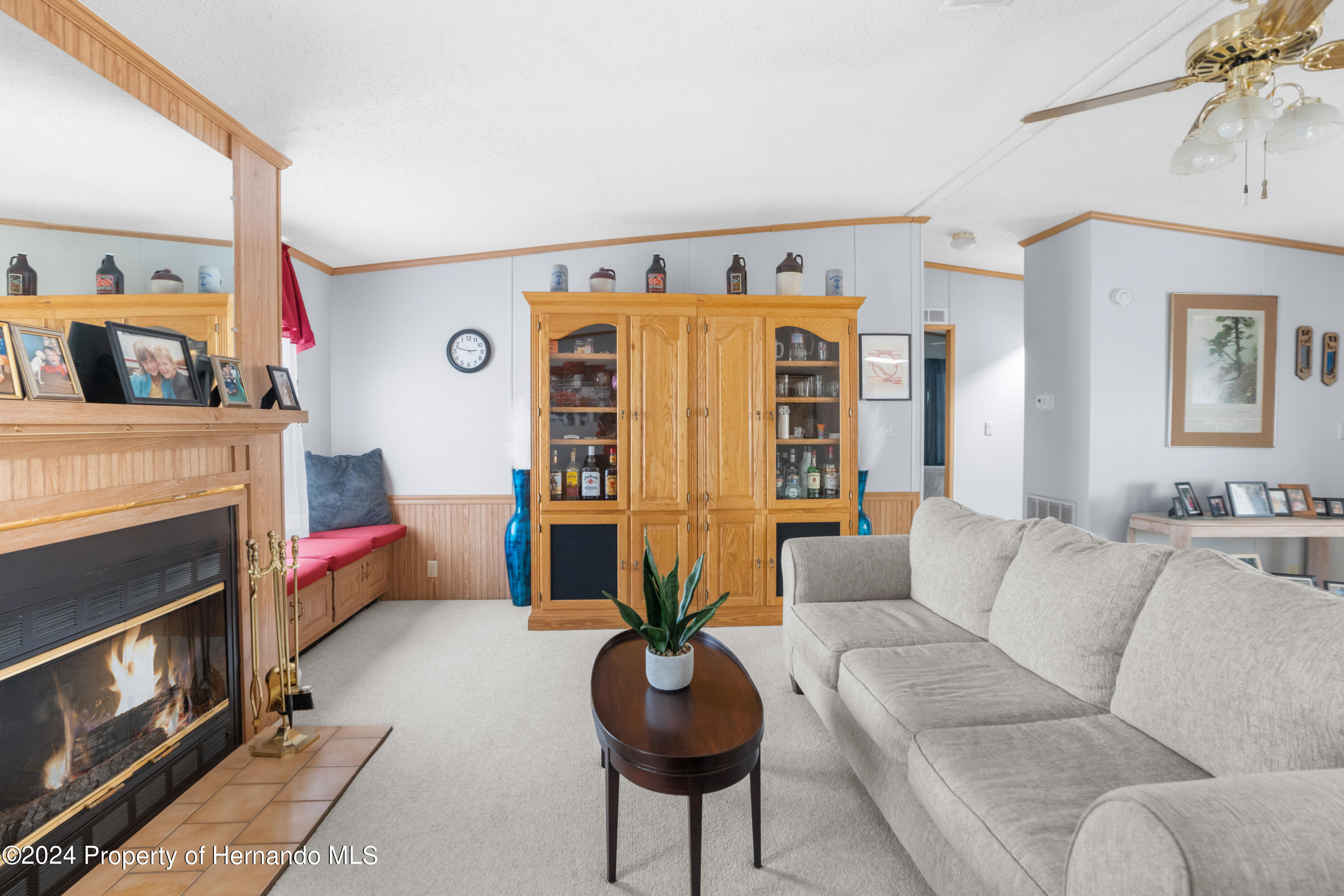 9183 Salisbury Drive, Brooksville, Florida image 11