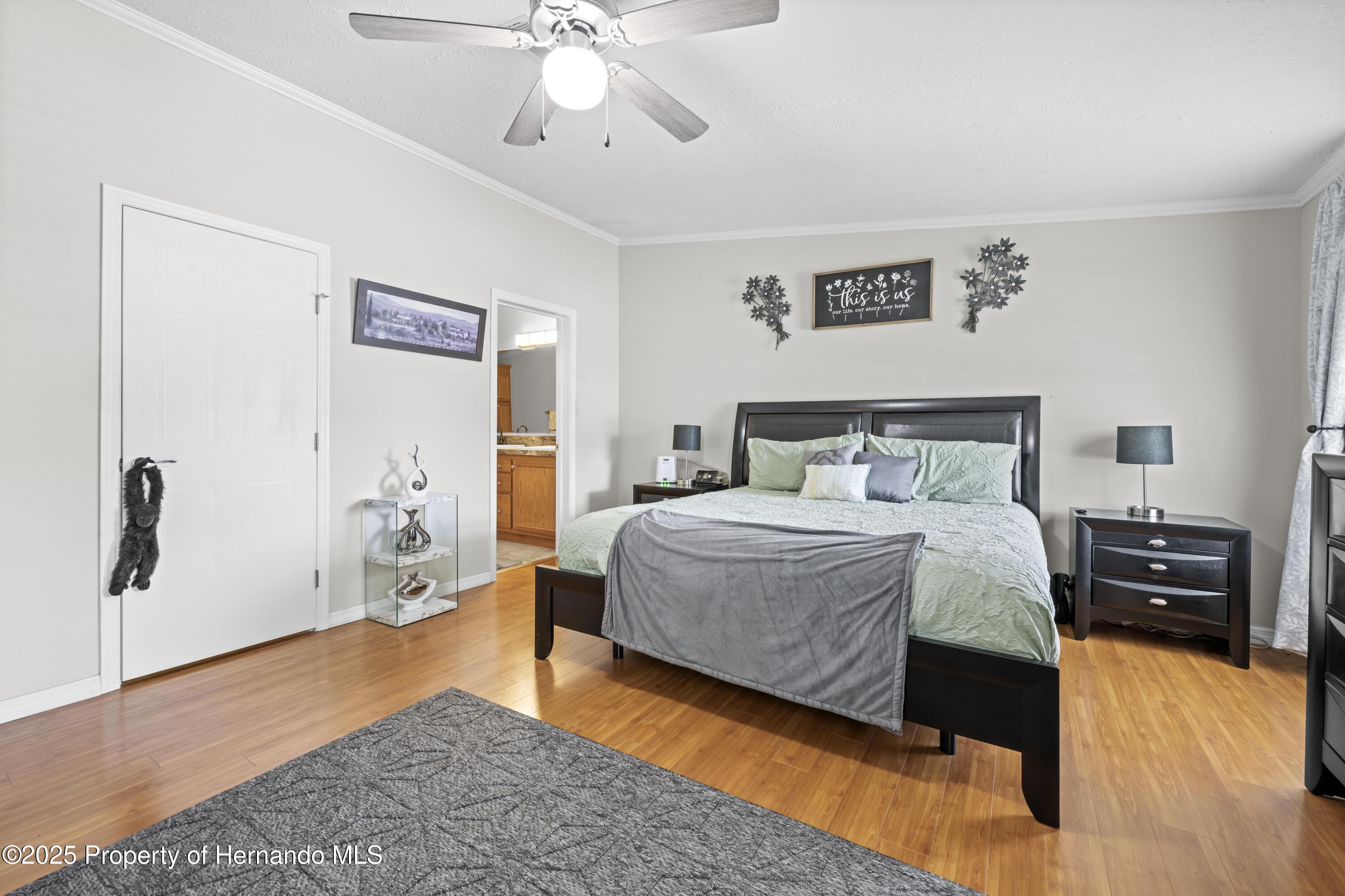 9223 Basil Street, Brooksville, Florida image 13
