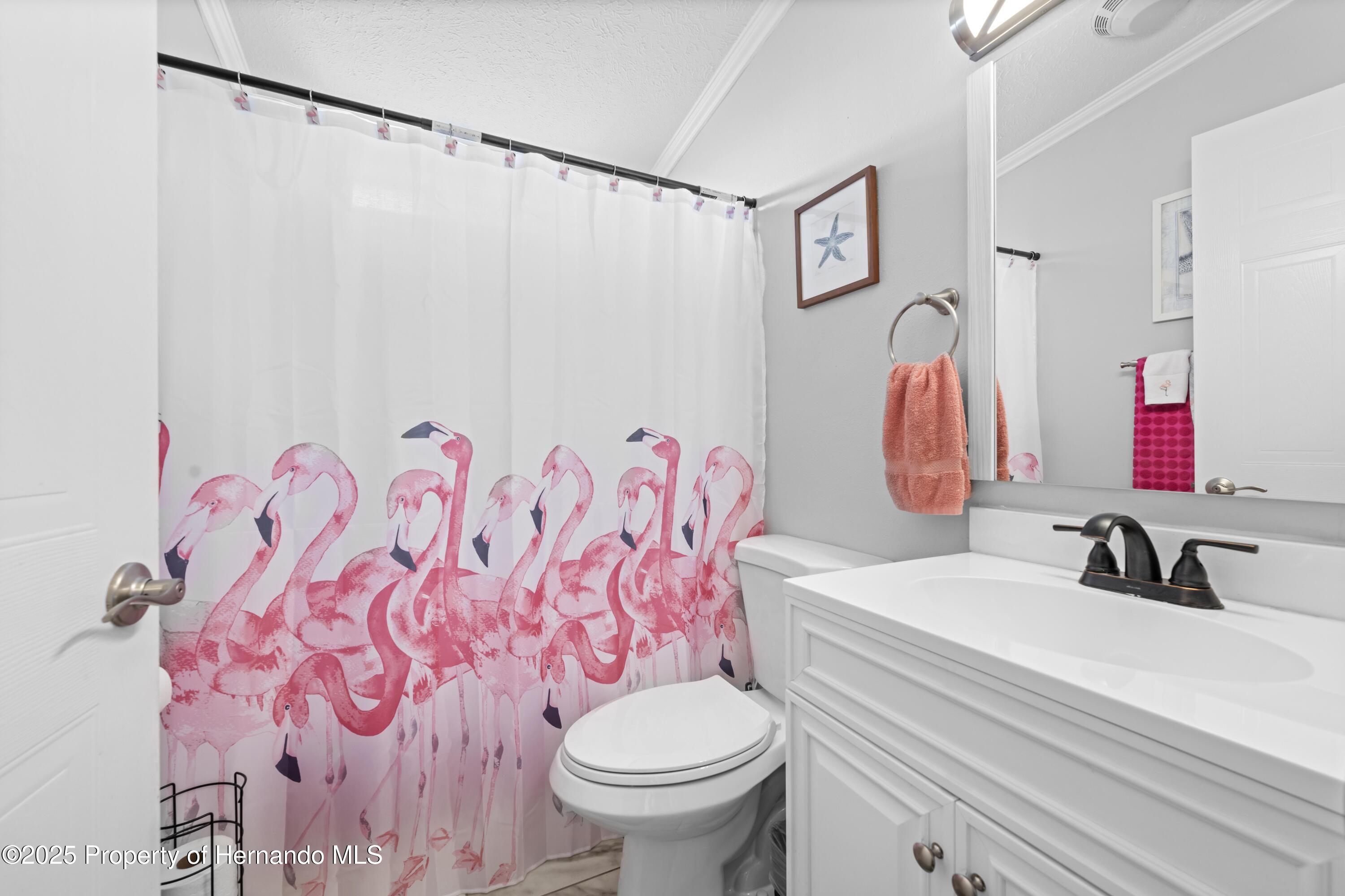 9223 Basil Street, Brooksville, Florida image 28
