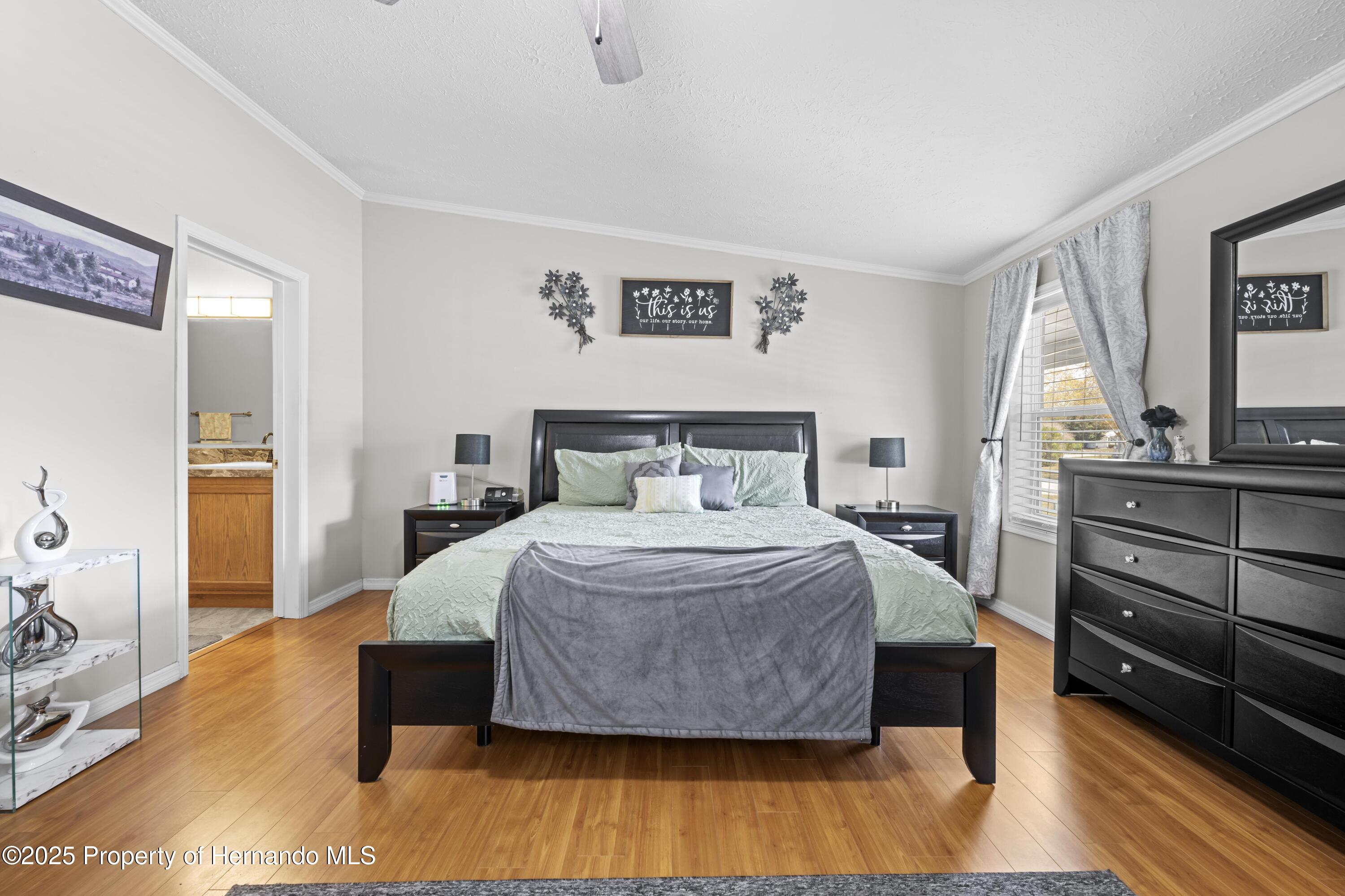 9223 Basil Street, Brooksville, Florida image 12